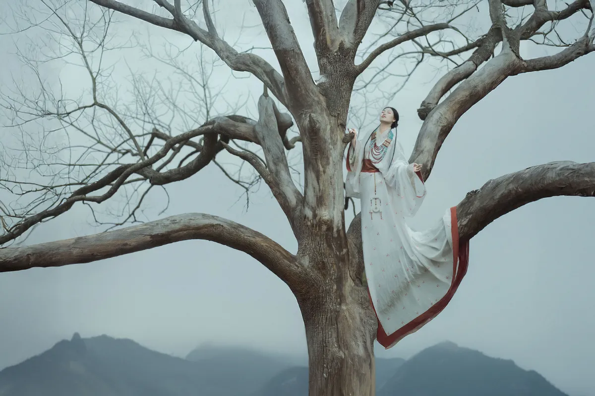 若寒Rock_苏苏《枯木》美图作品图片5