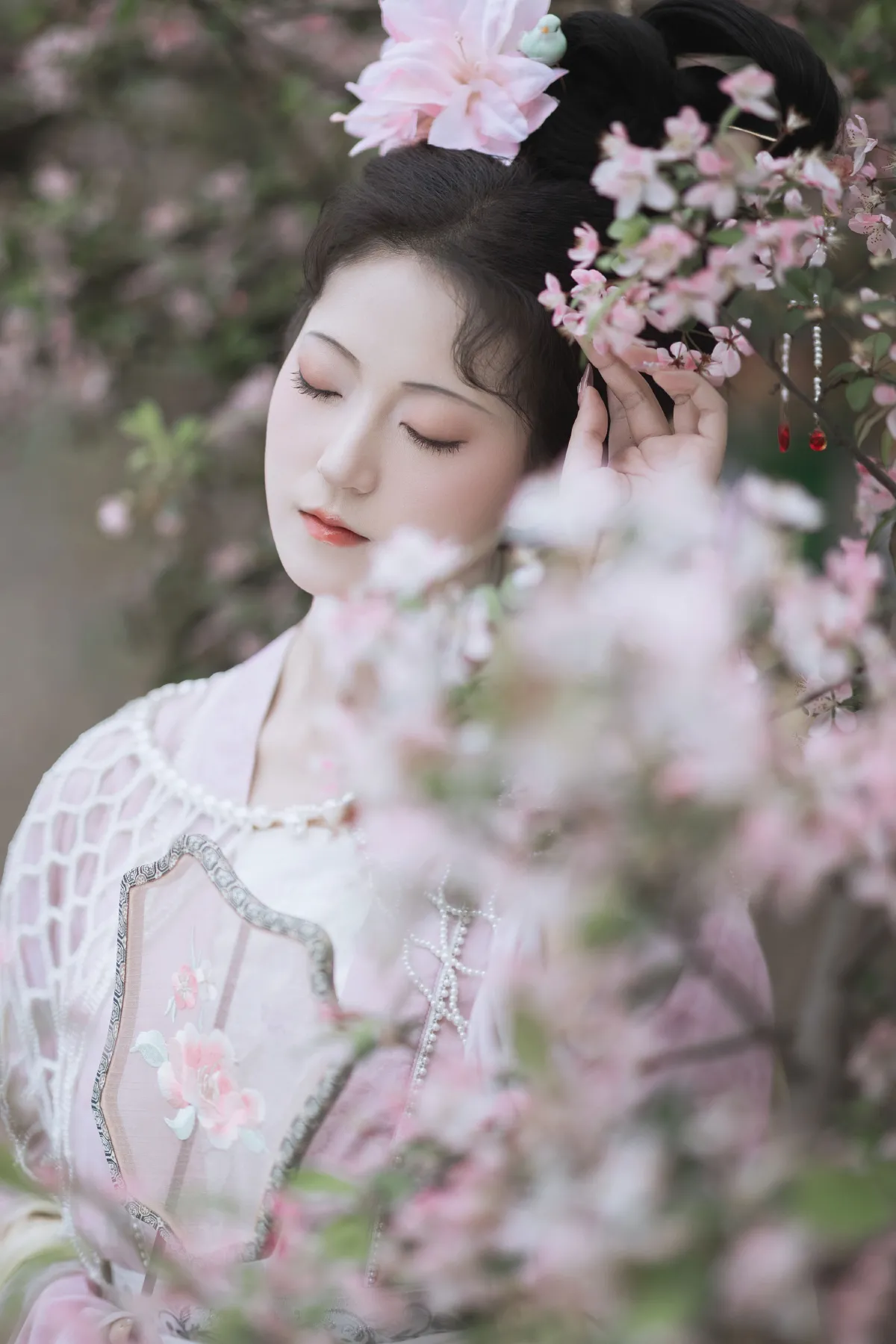海棠依旧