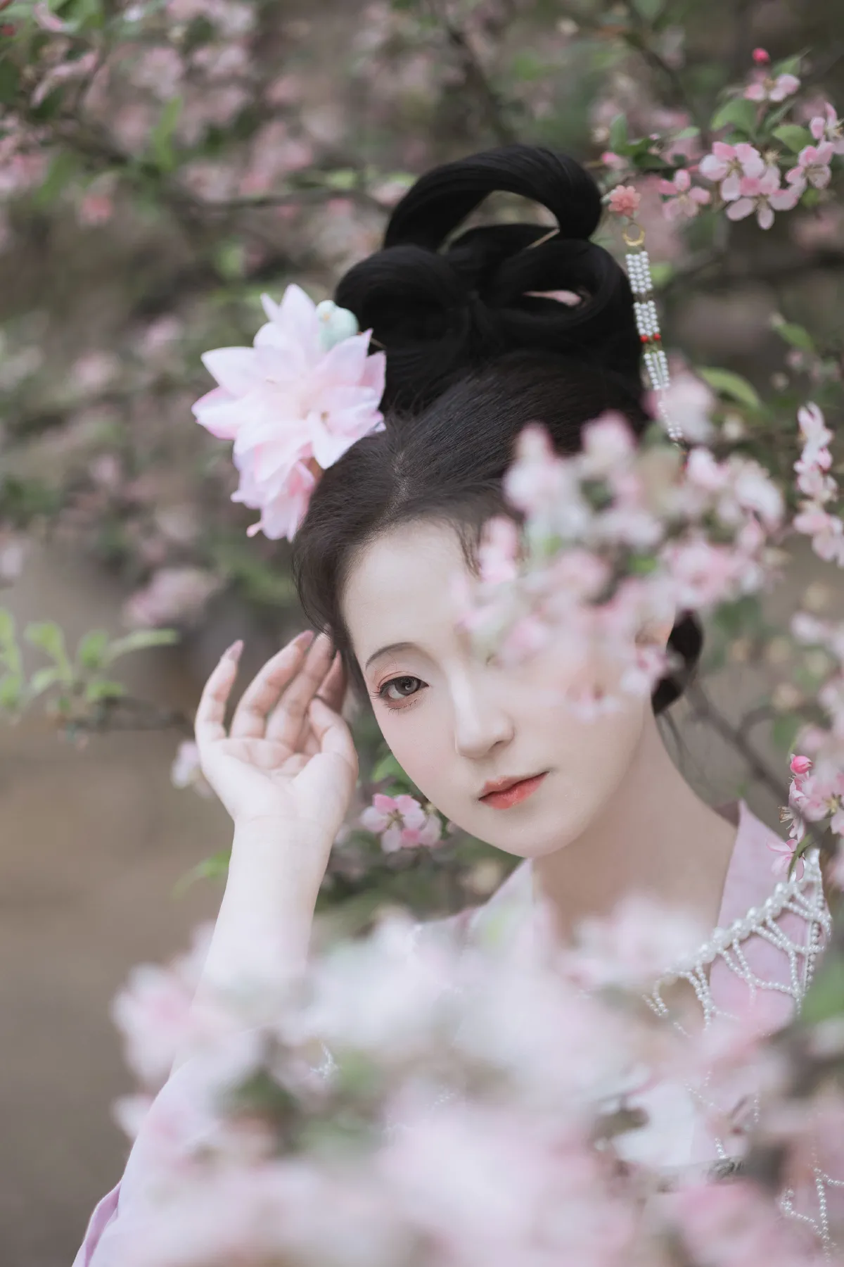 海棠依旧
