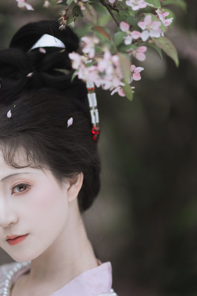 海棠依旧