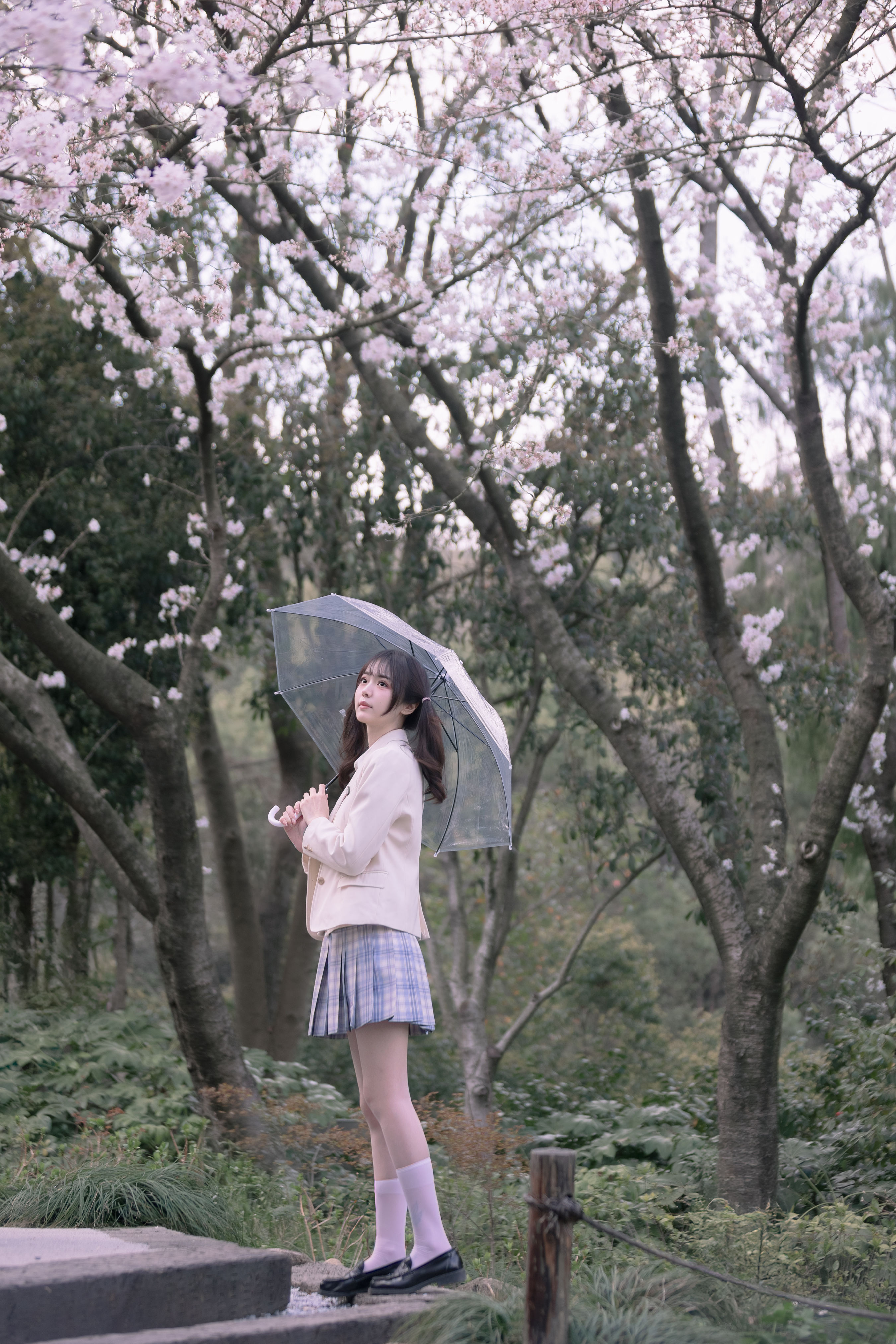 若寒Rock_刺青师豆芽《樱花树下的少女》美图作品图片1