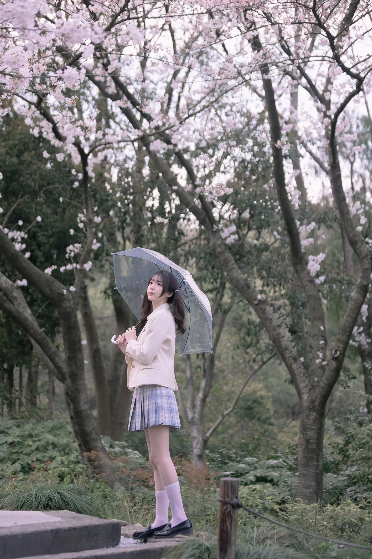 若寒Rock_刺青师豆芽《樱花树下的少女》美图作品图片1