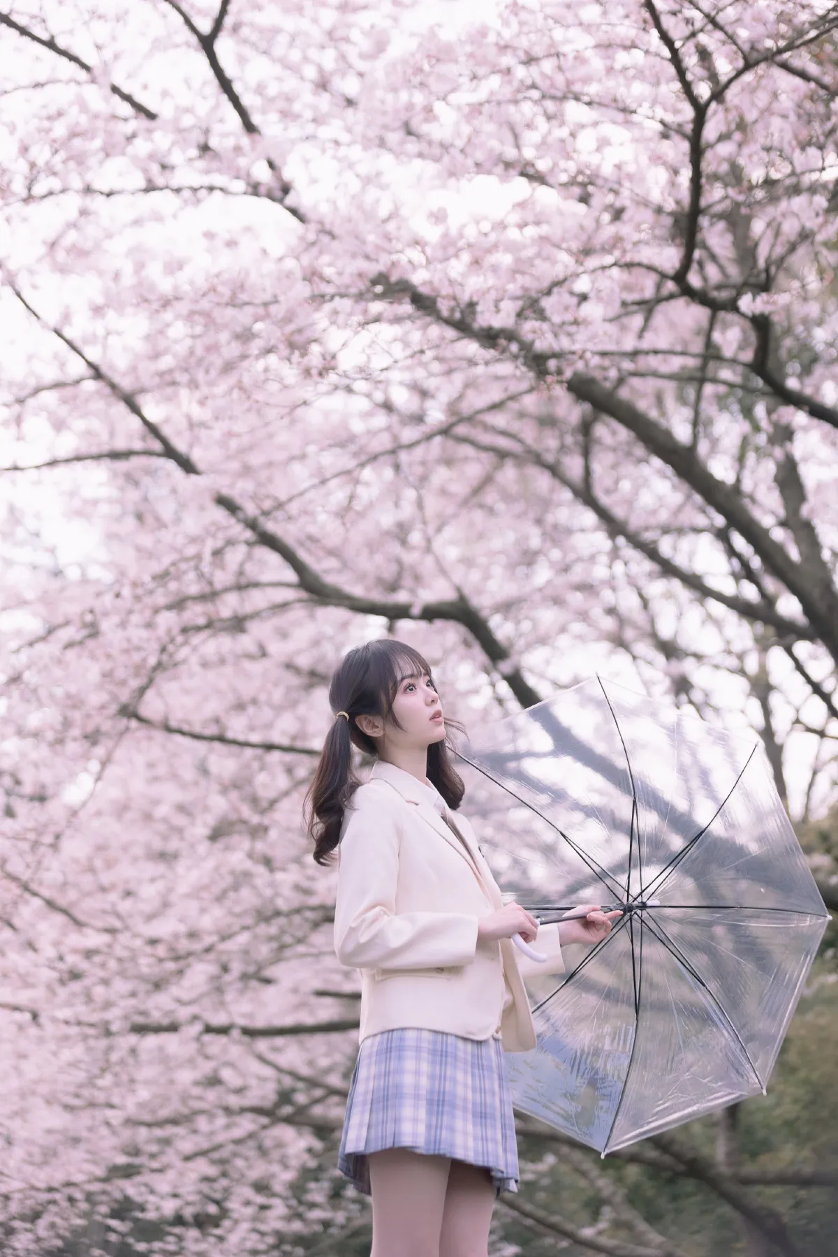 若寒Rock_刺青师豆芽《樱花树下的少女》美图作品图片2