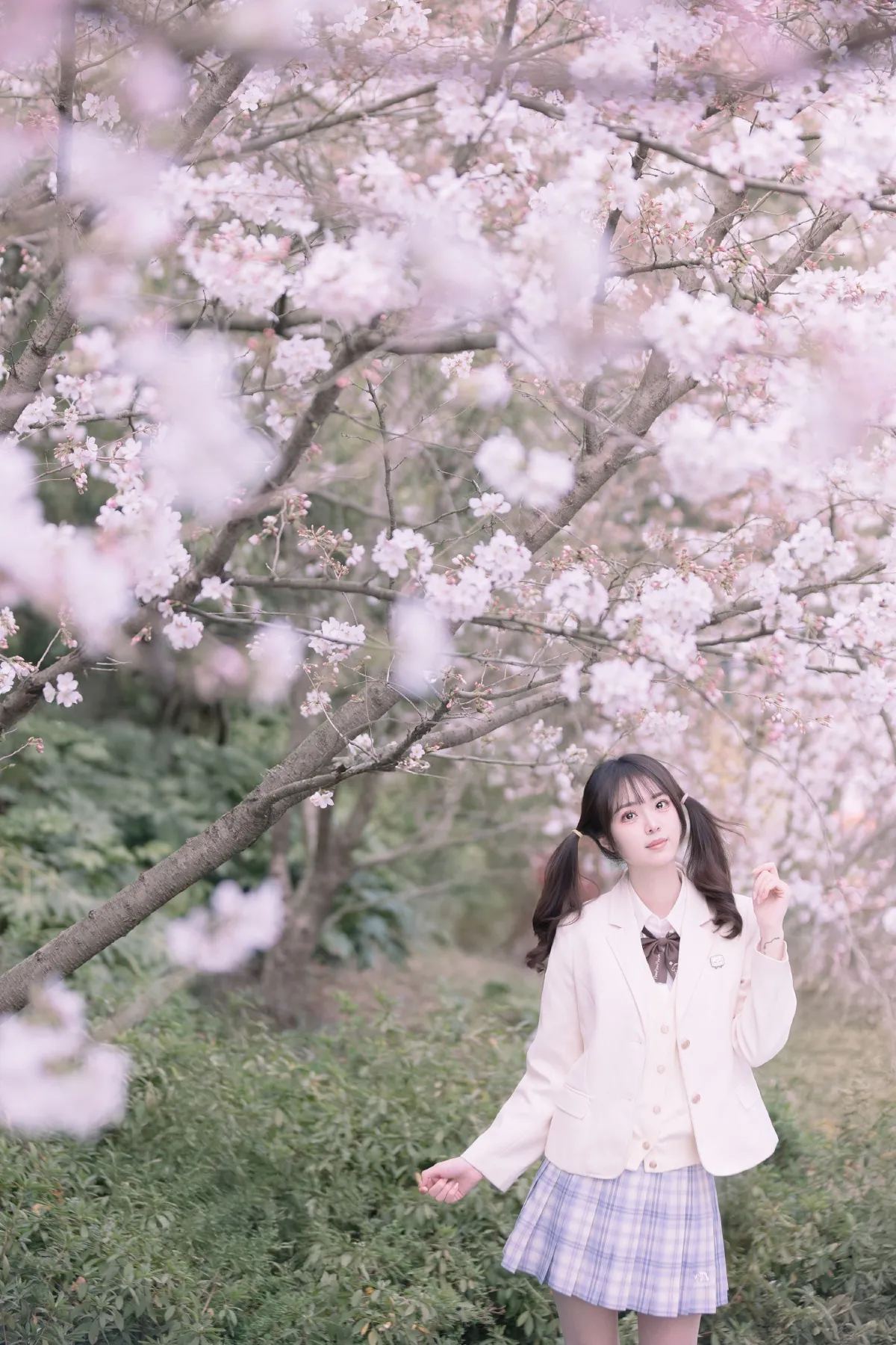 若寒Rock_刺青师豆芽《樱花树下的少女》美图作品图片3