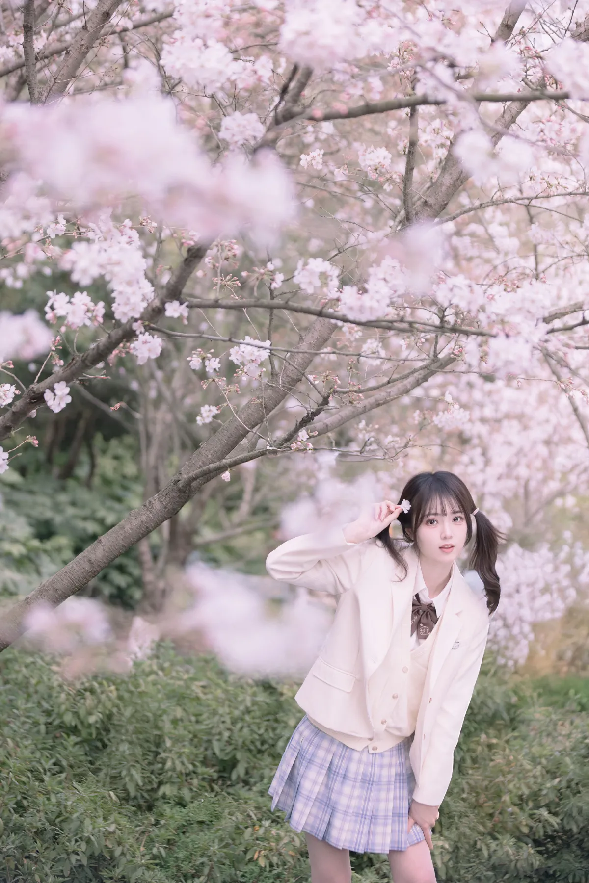 若寒Rock_刺青师豆芽《樱花树下的少女》美图作品图片5
