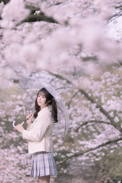 樱花树下的少女