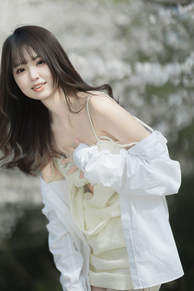 清白之年