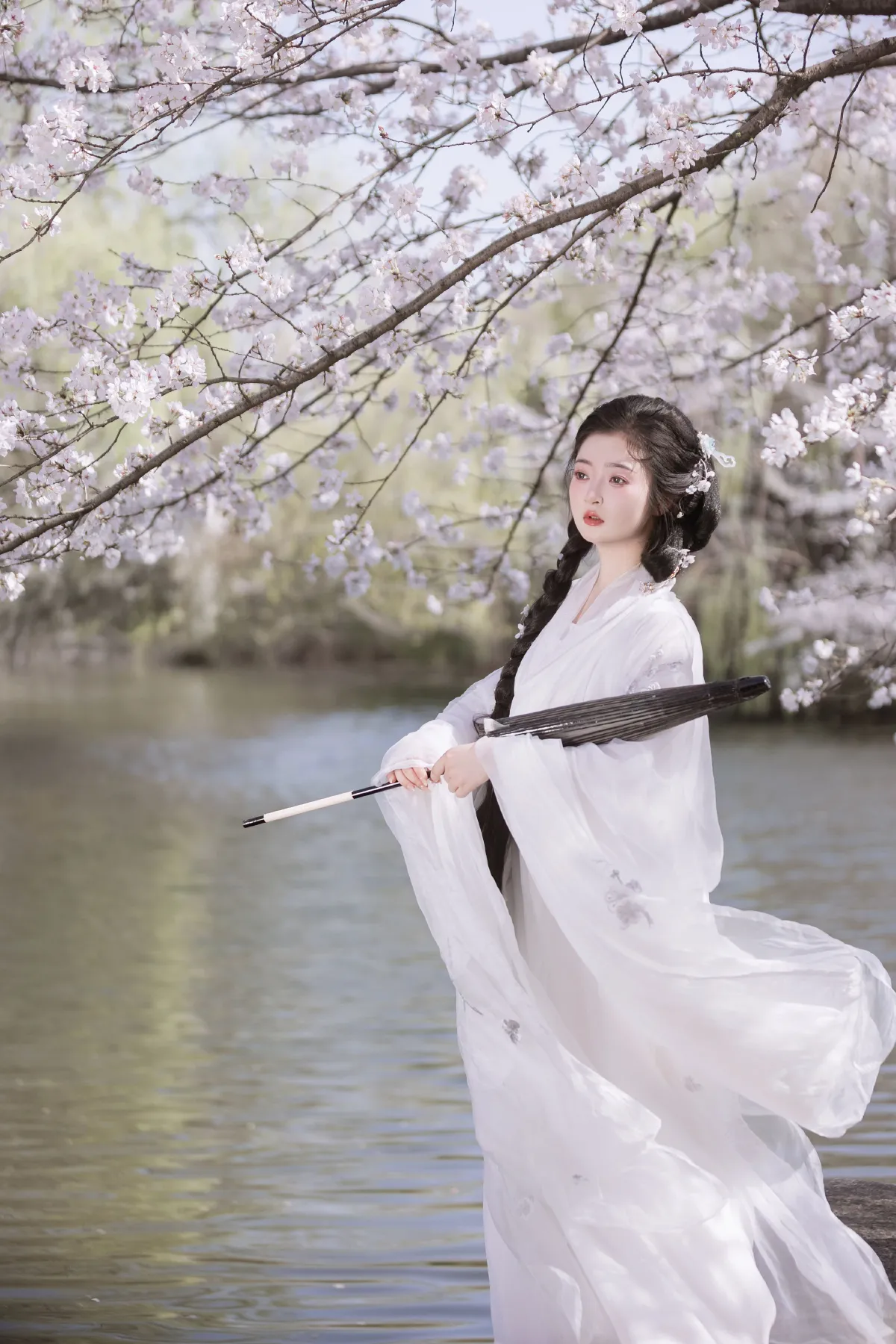 若寒Rock_比奇堡最漂亮的女人《故园赏樱》美图作品图片2