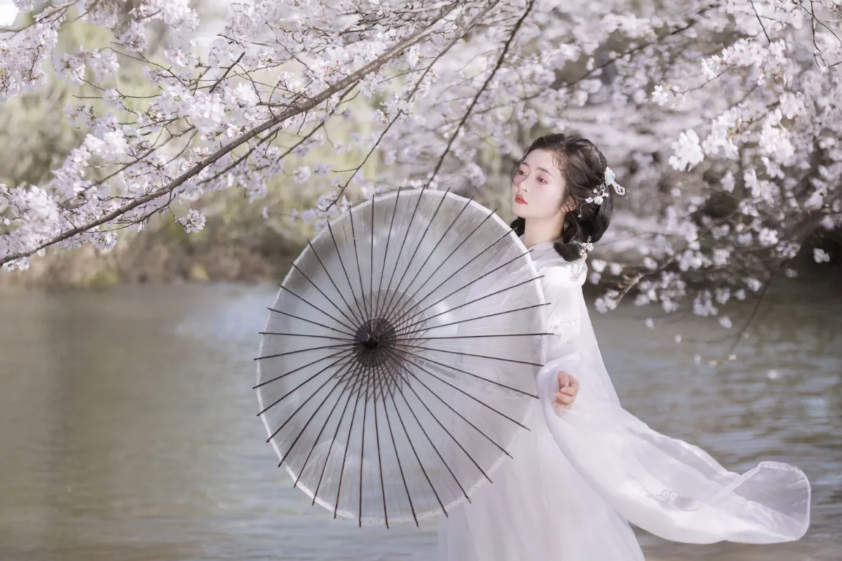 若寒Rock_比奇堡最漂亮的女人《故园赏樱》美图作品图片4