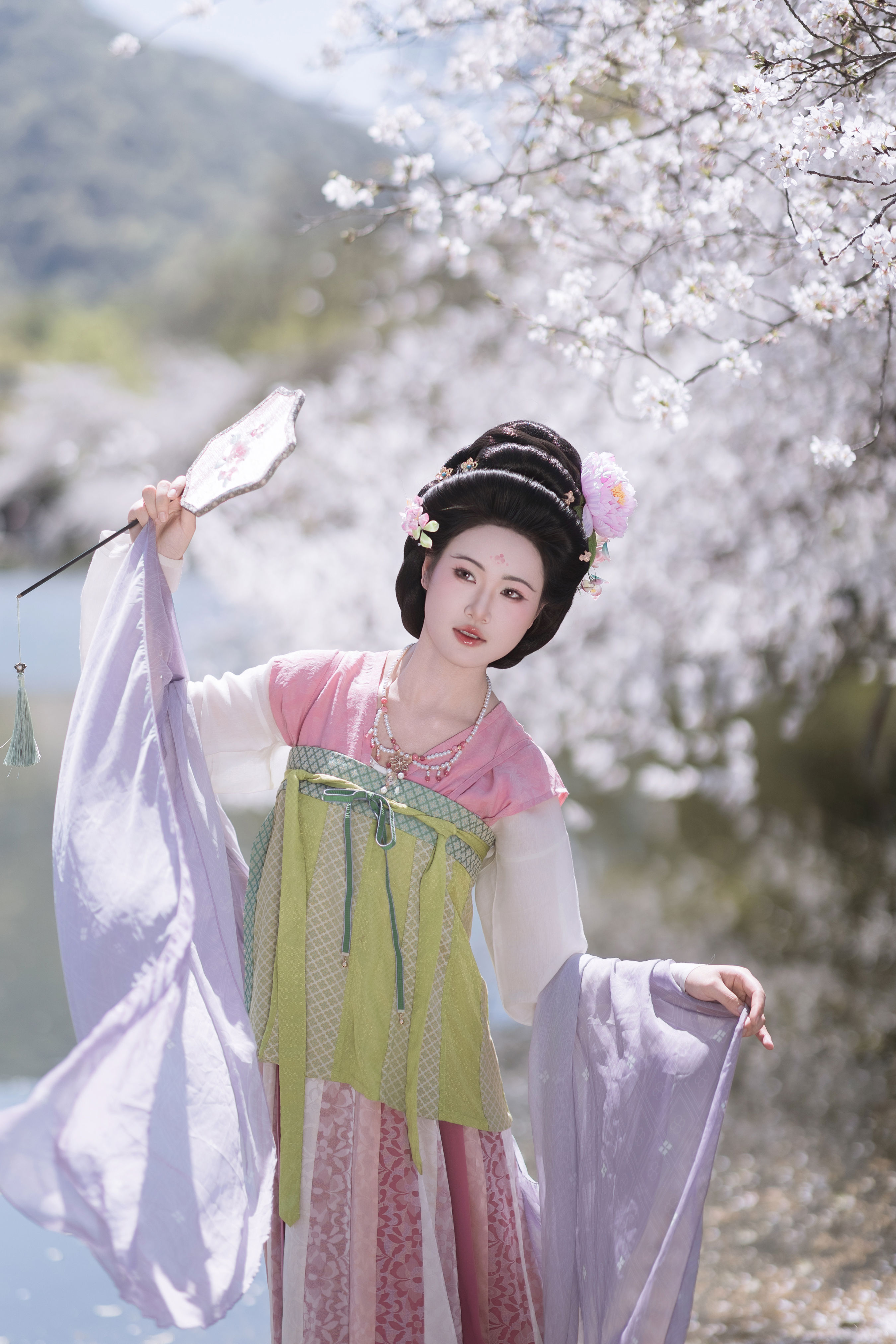 踏春赏樱