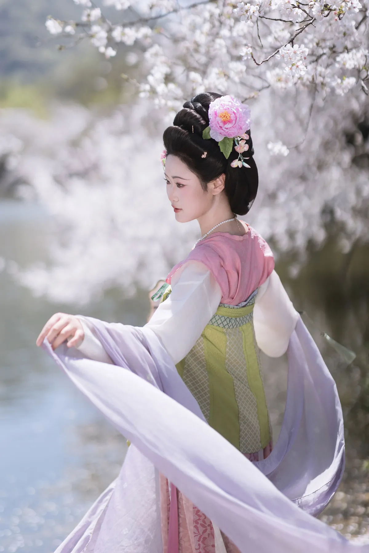 踏春赏樱