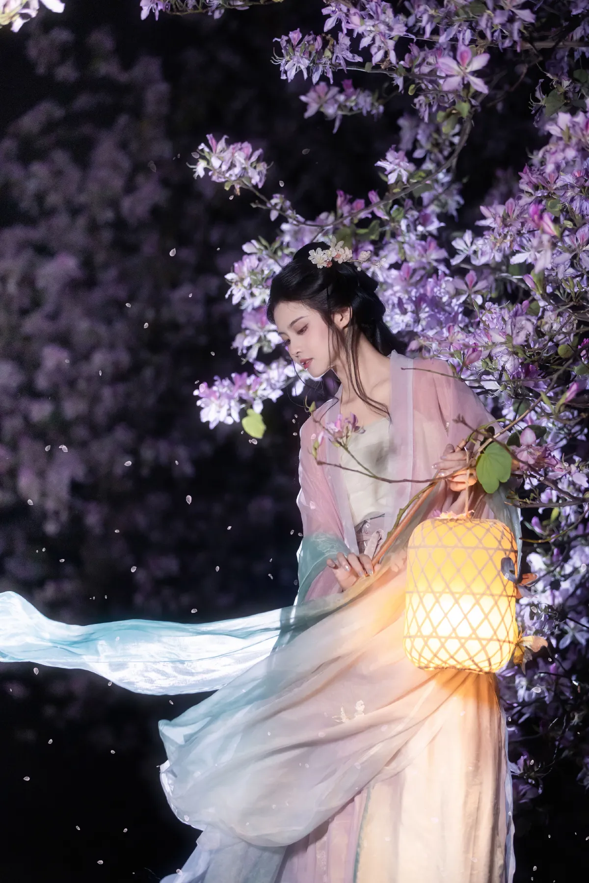 沉诗思_三也酱酱《挽星灯》美图作品图片1