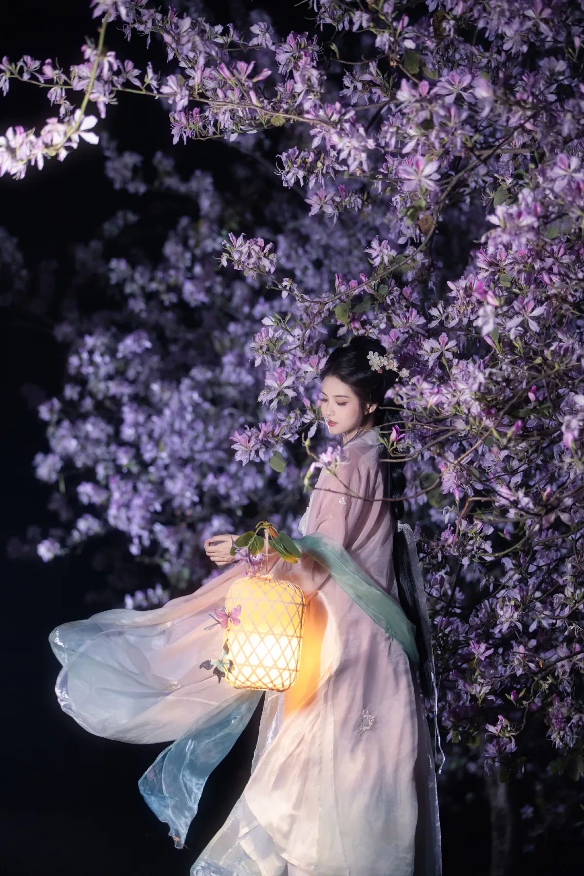 挽星灯