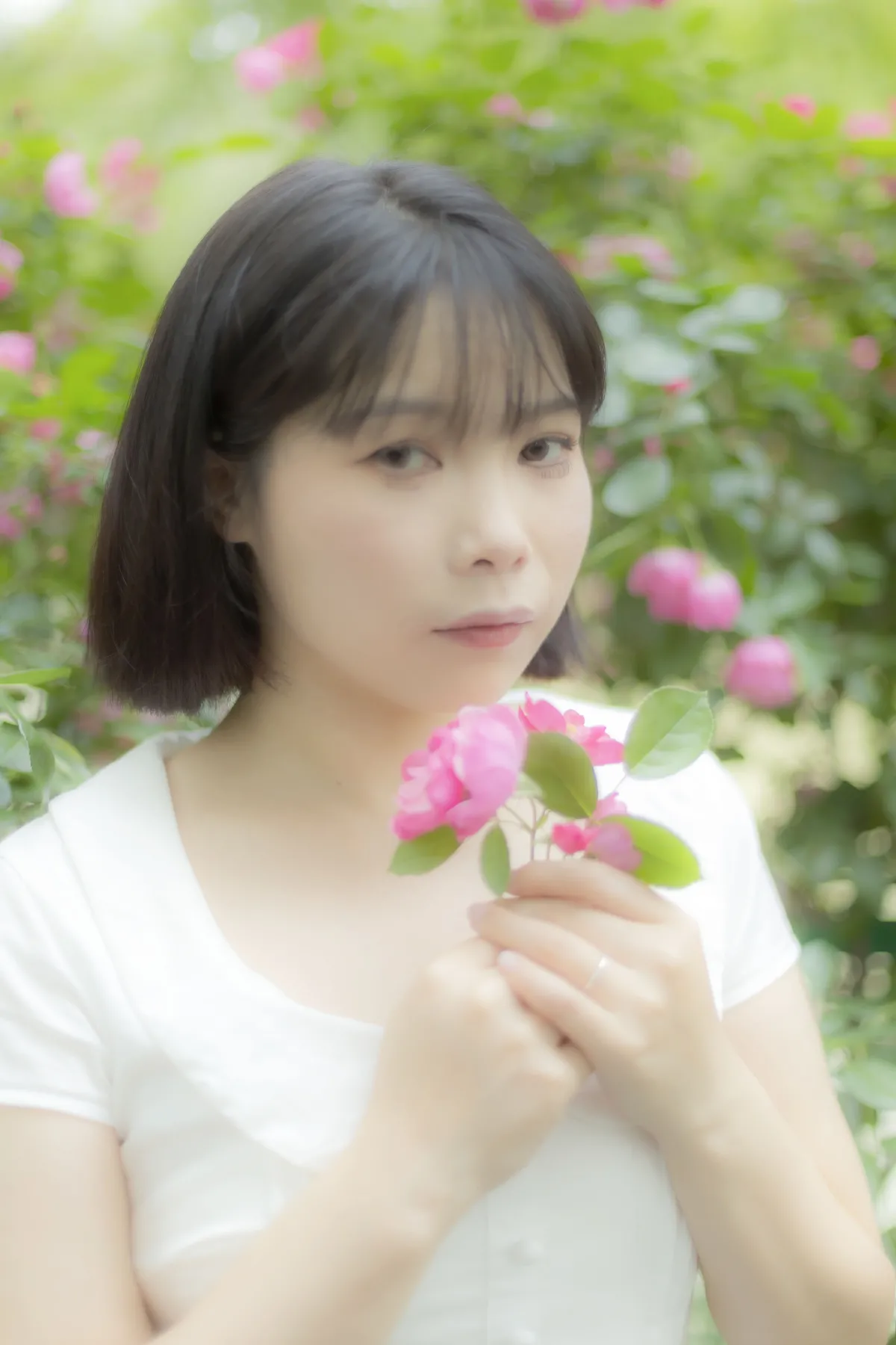 蔷薇花女孩4