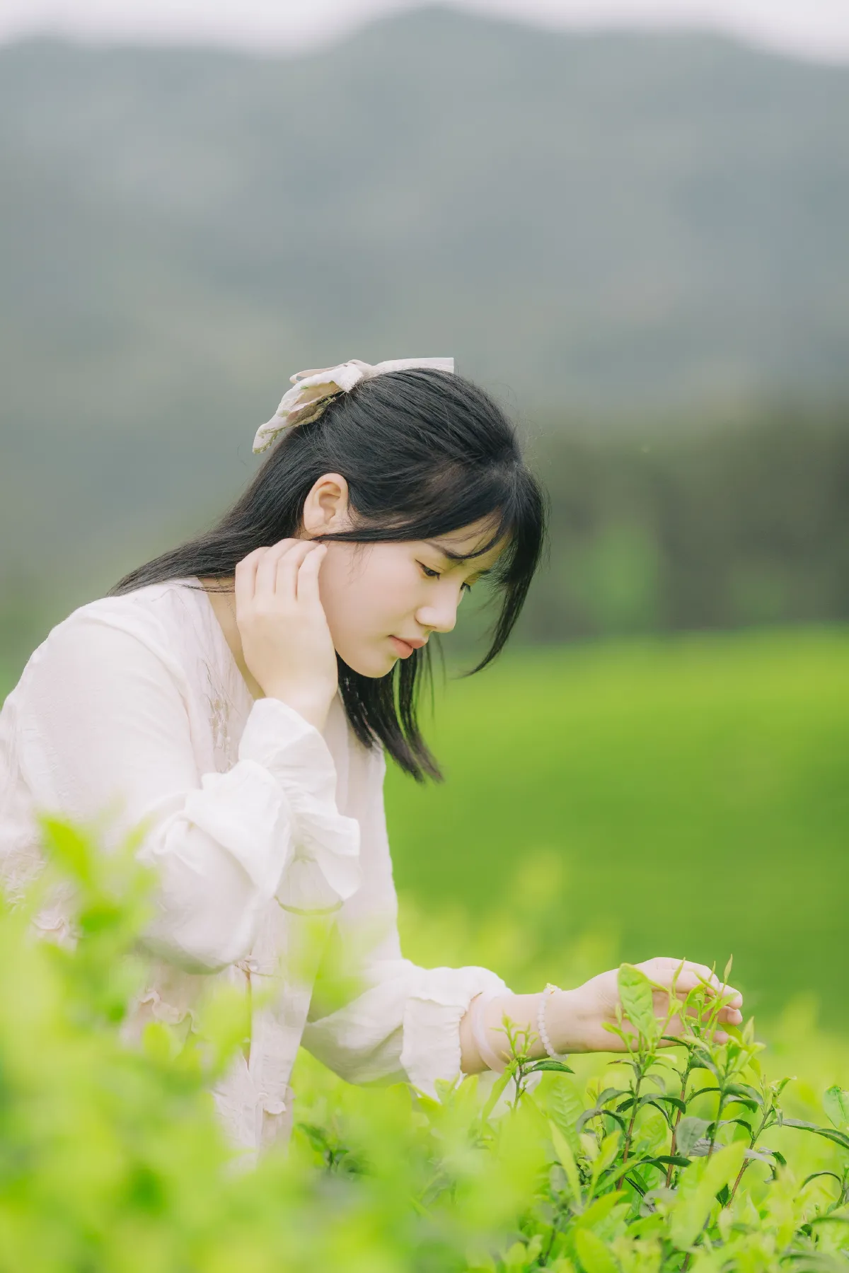 茶山行3