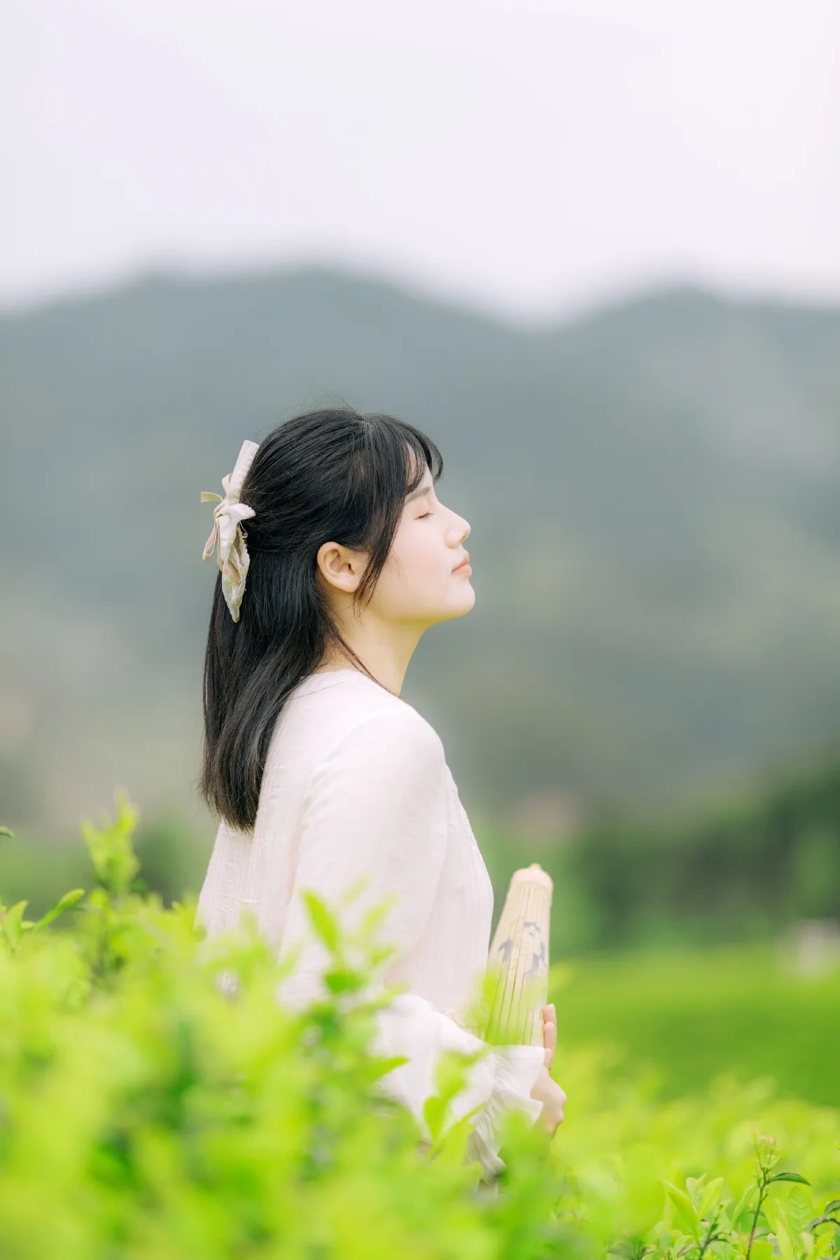茶山行4