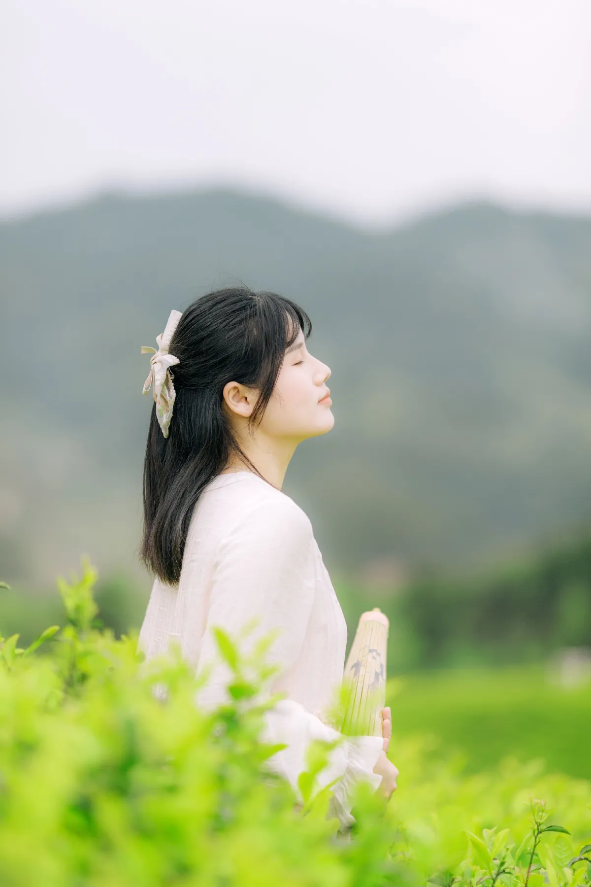 茶山行