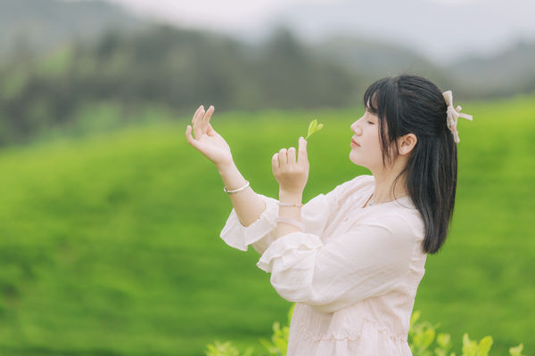茶山行