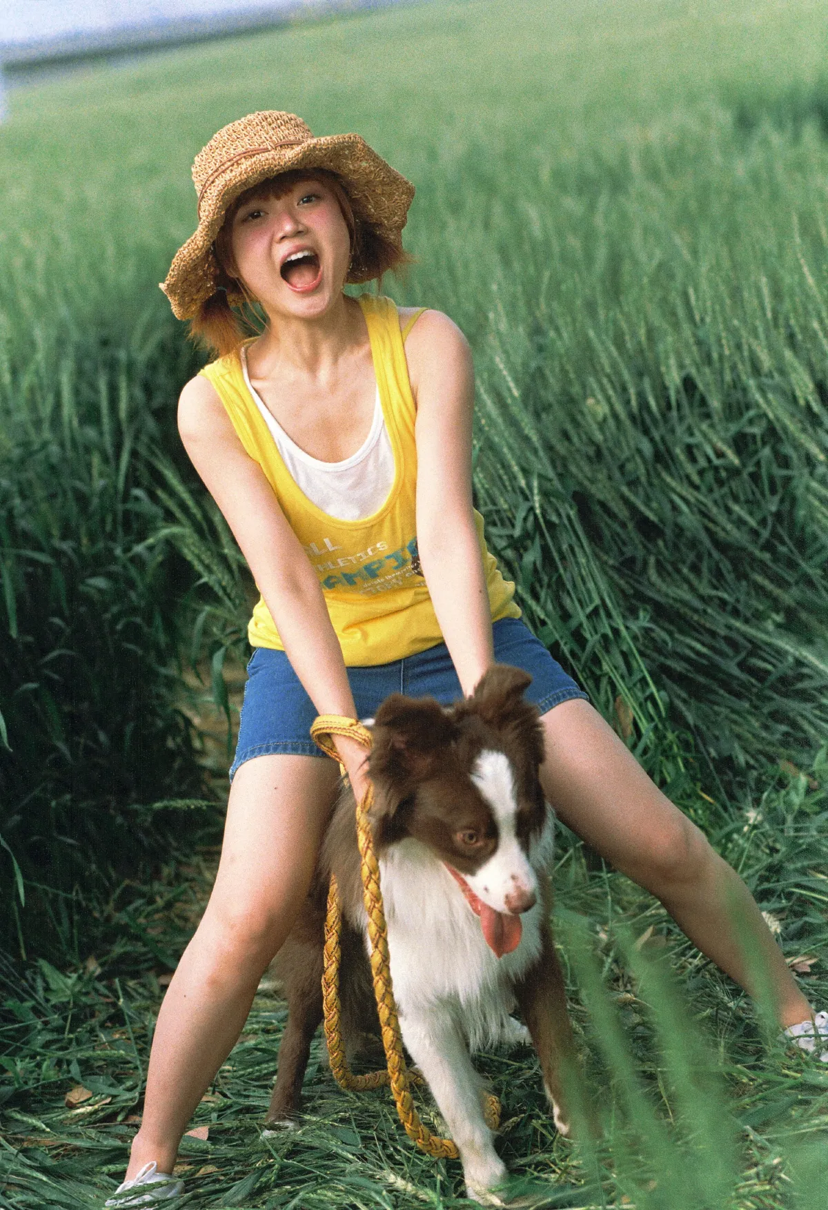 田罗妹妹_俊熙眼子《麦田，少女，和狗》美图作品图片4