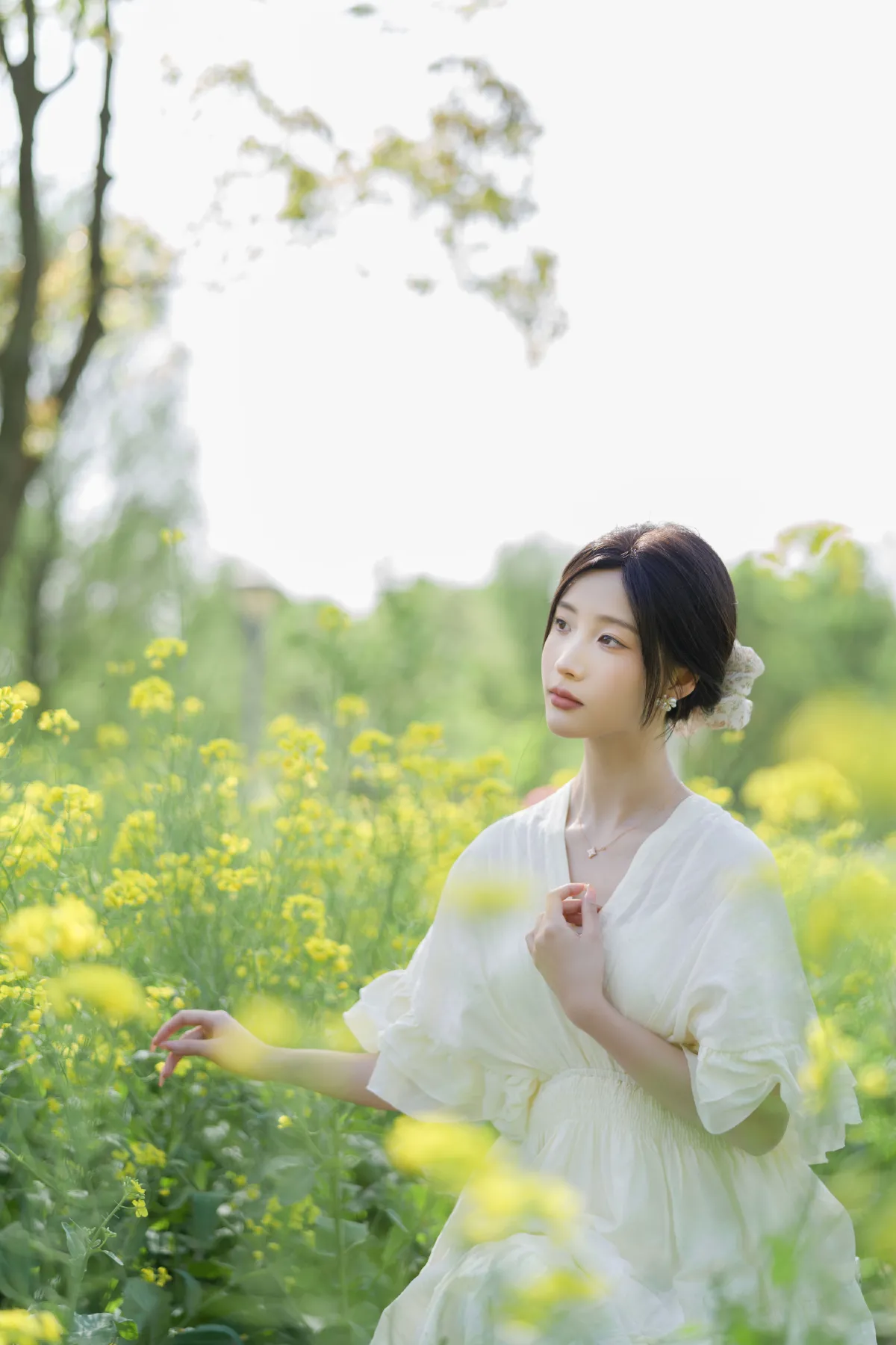 梦幻花海
