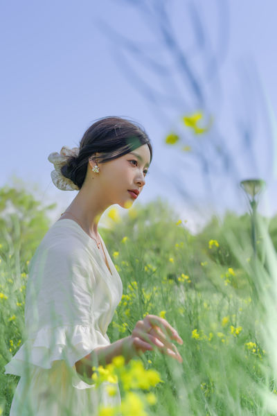 梦幻花海