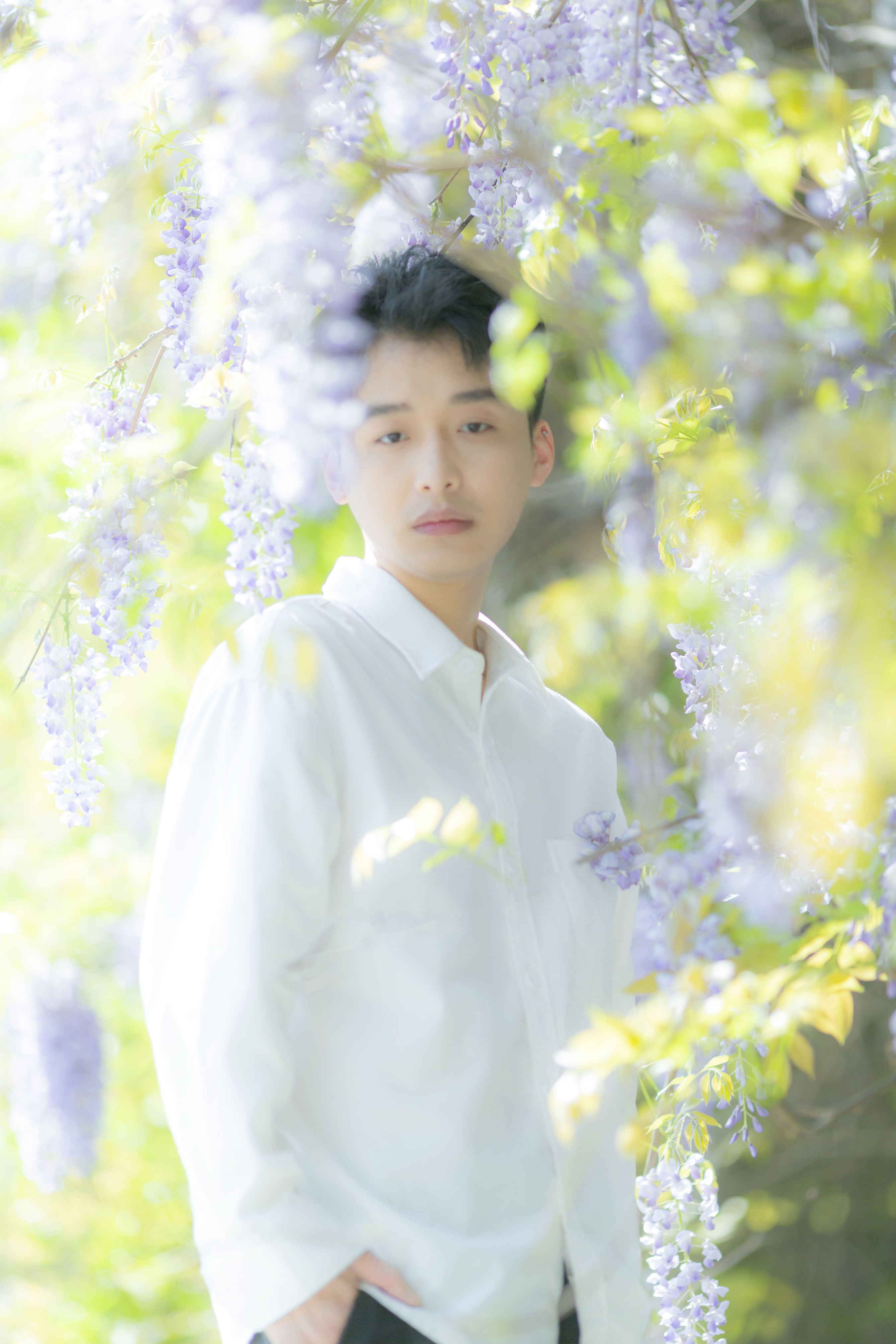 花儿与少年1