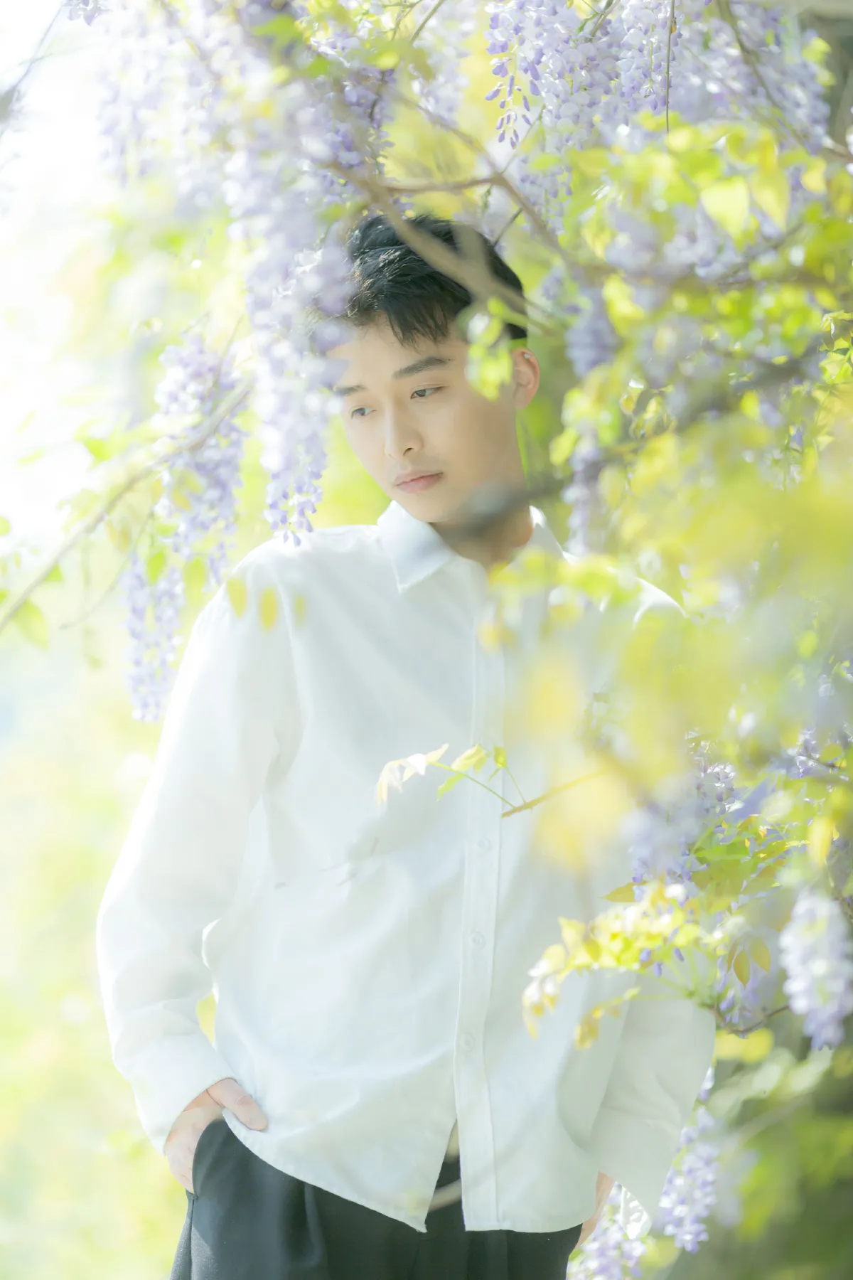 花儿与少年2