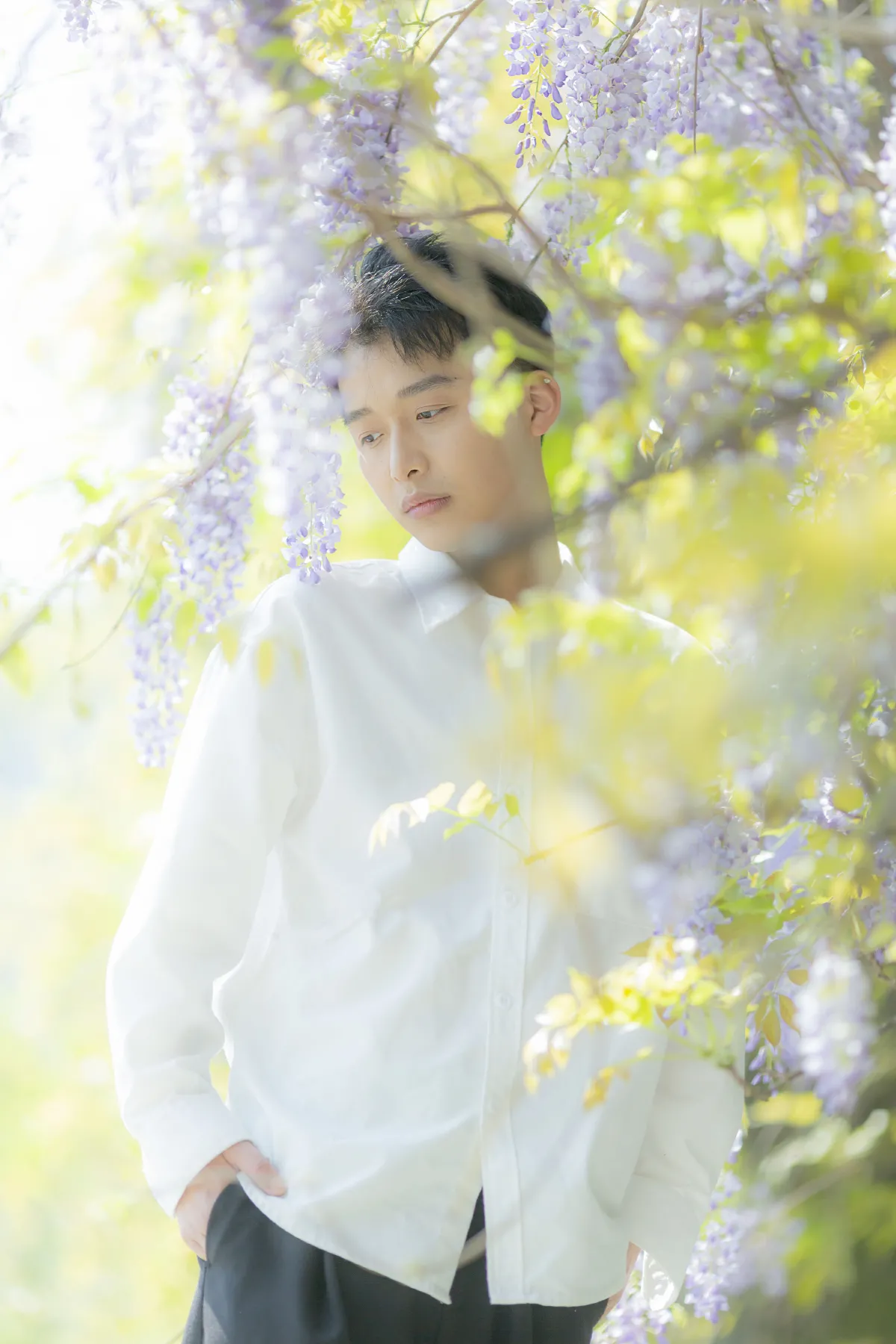 花儿与少年3