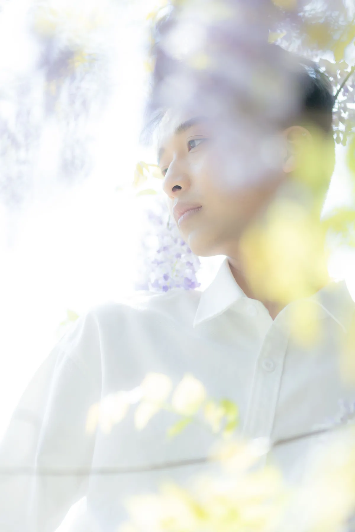 花儿与少年4