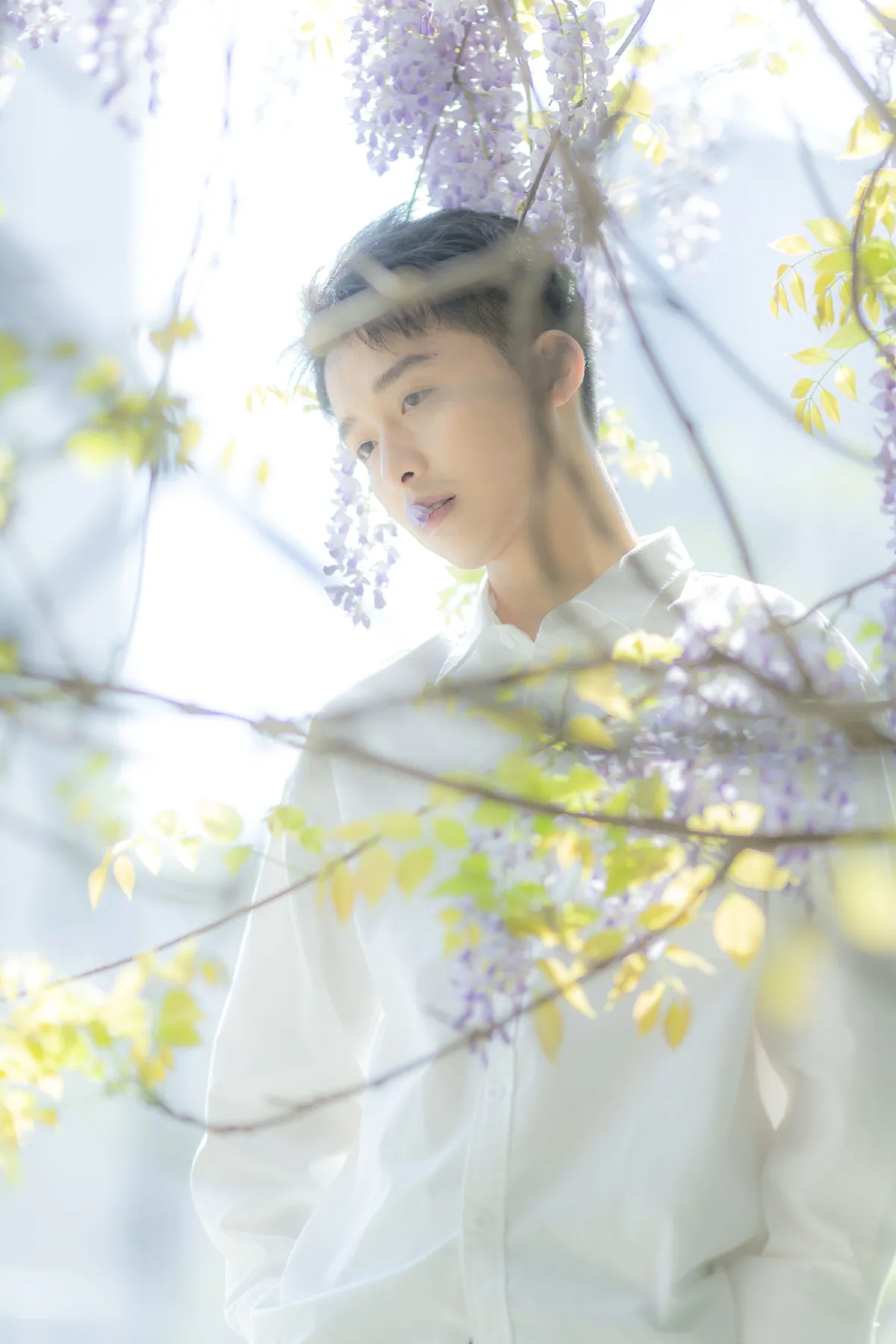 花儿与少年5