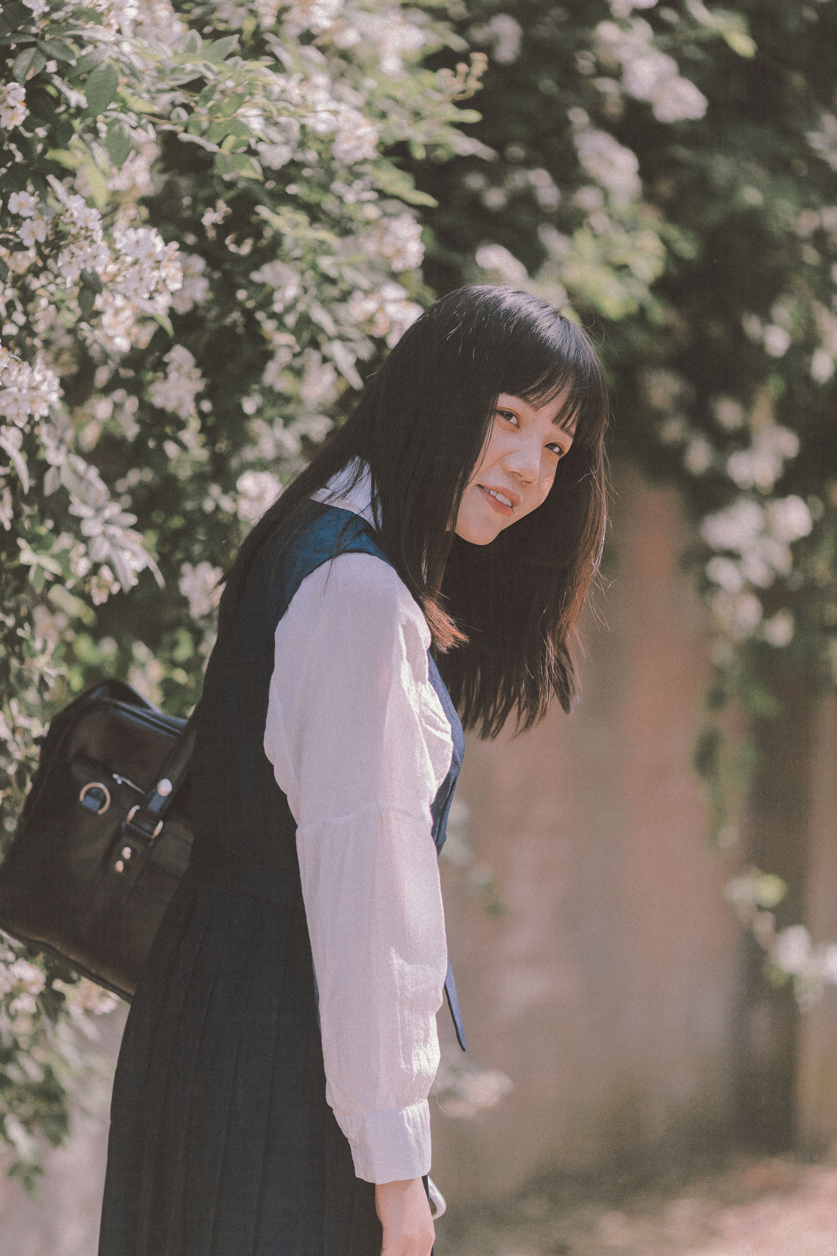 蔷薇花开1