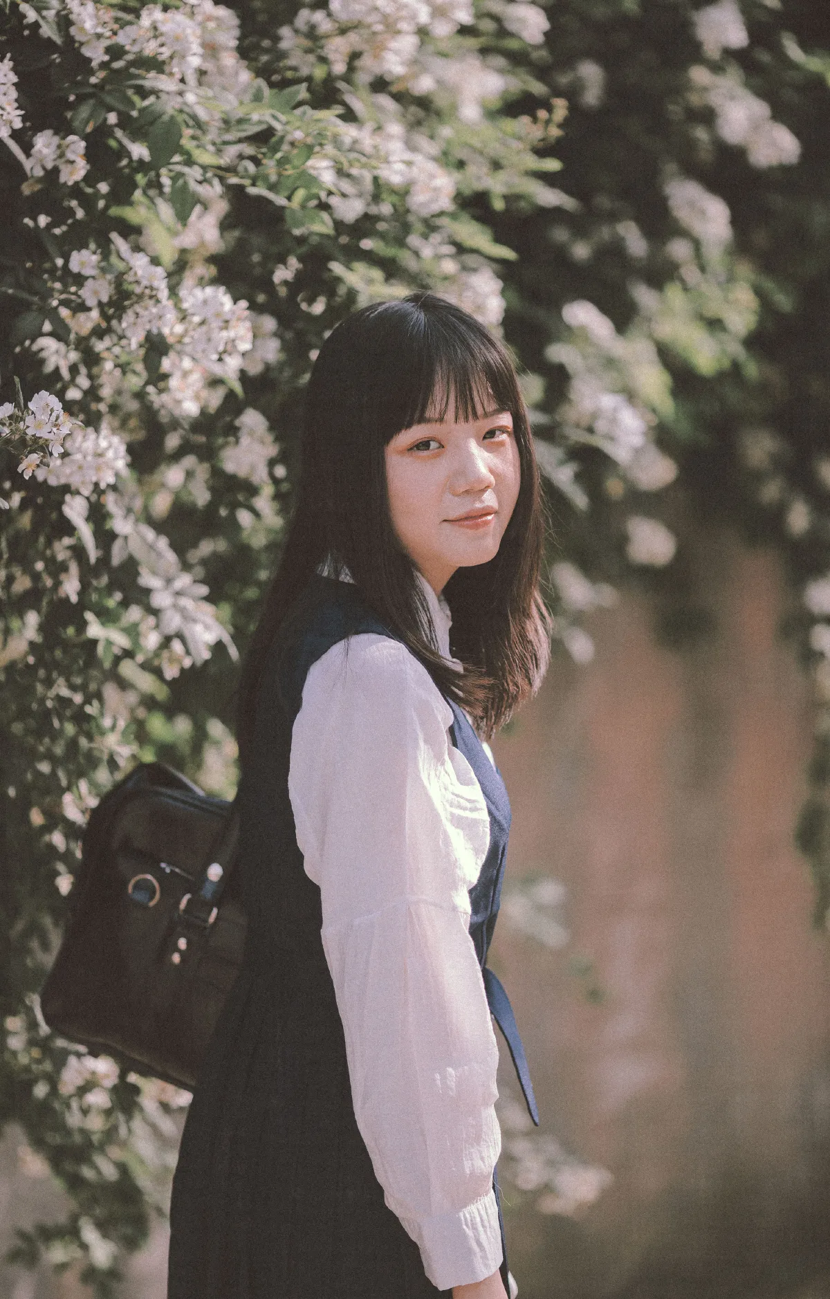 蔷薇花开2