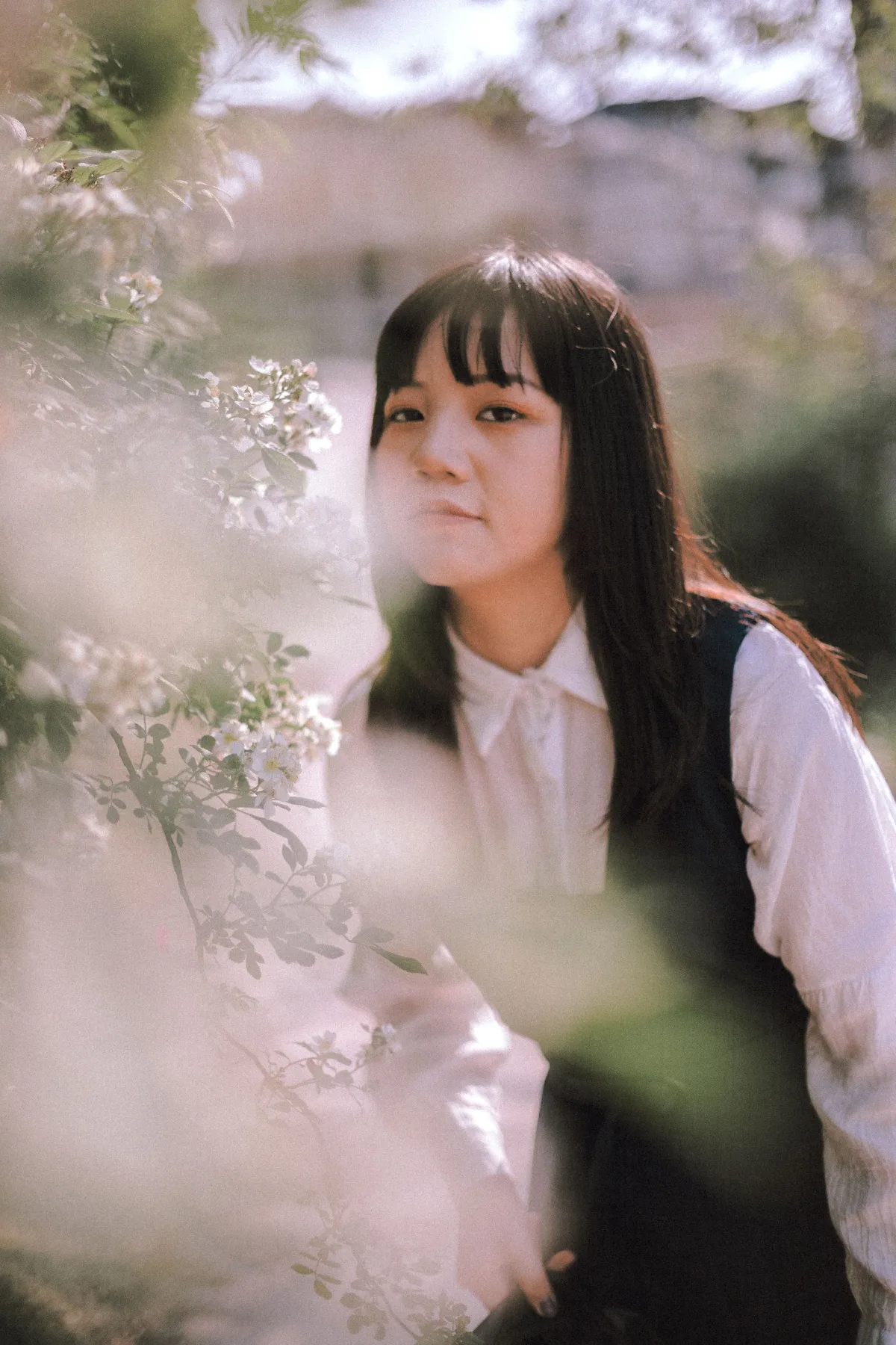 蔷薇花开