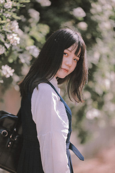 蔷薇花开