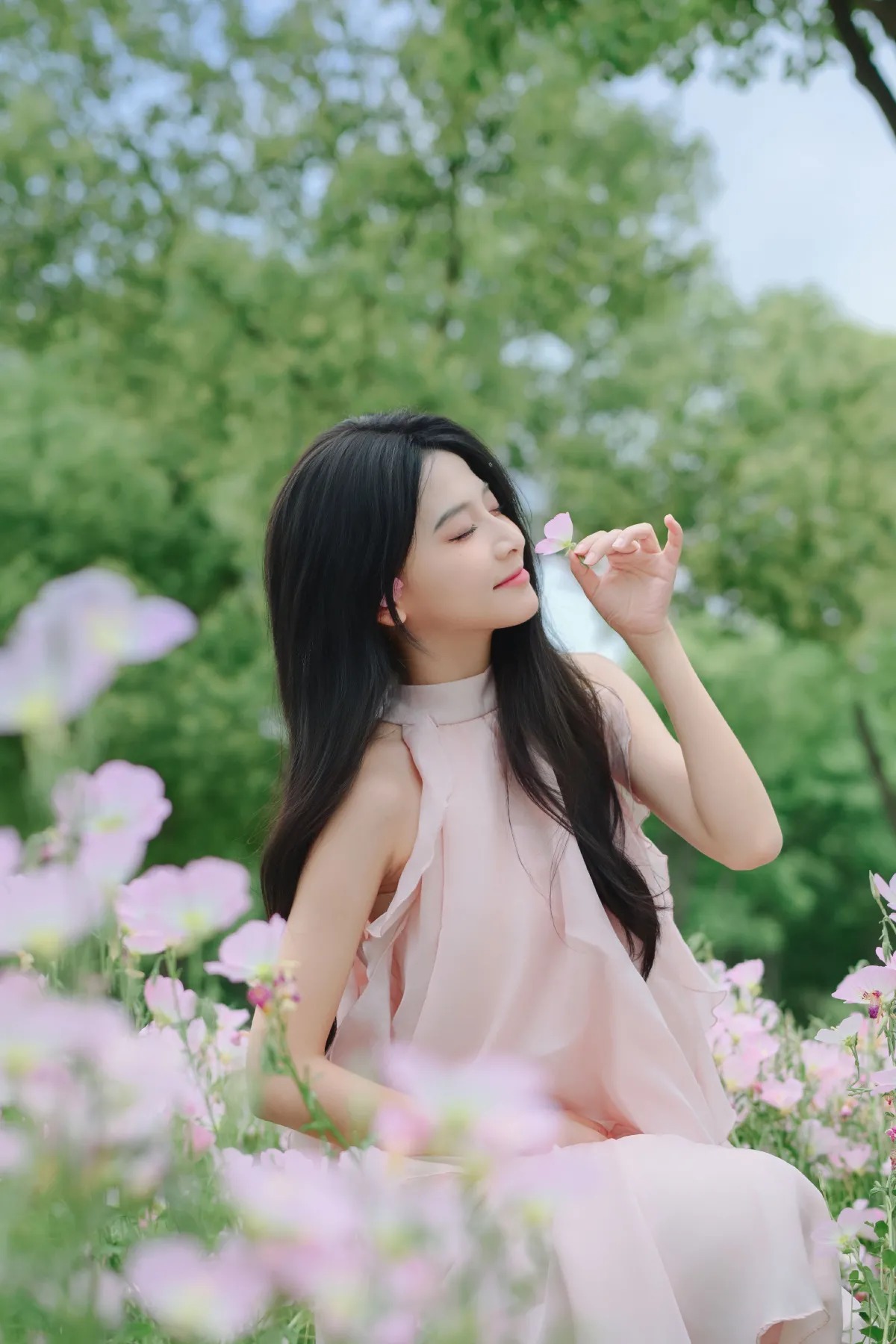 月见草花海3