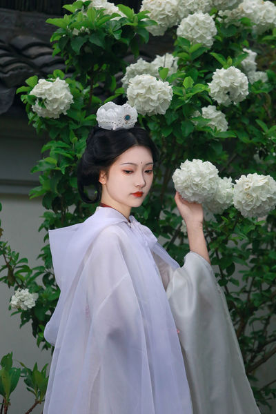 木绣球下的神女