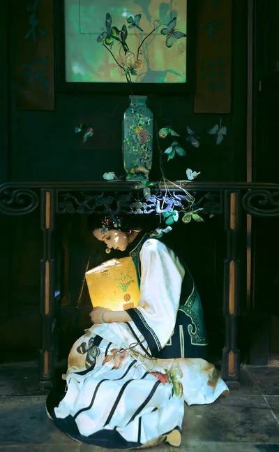 阁楼蝴蝶