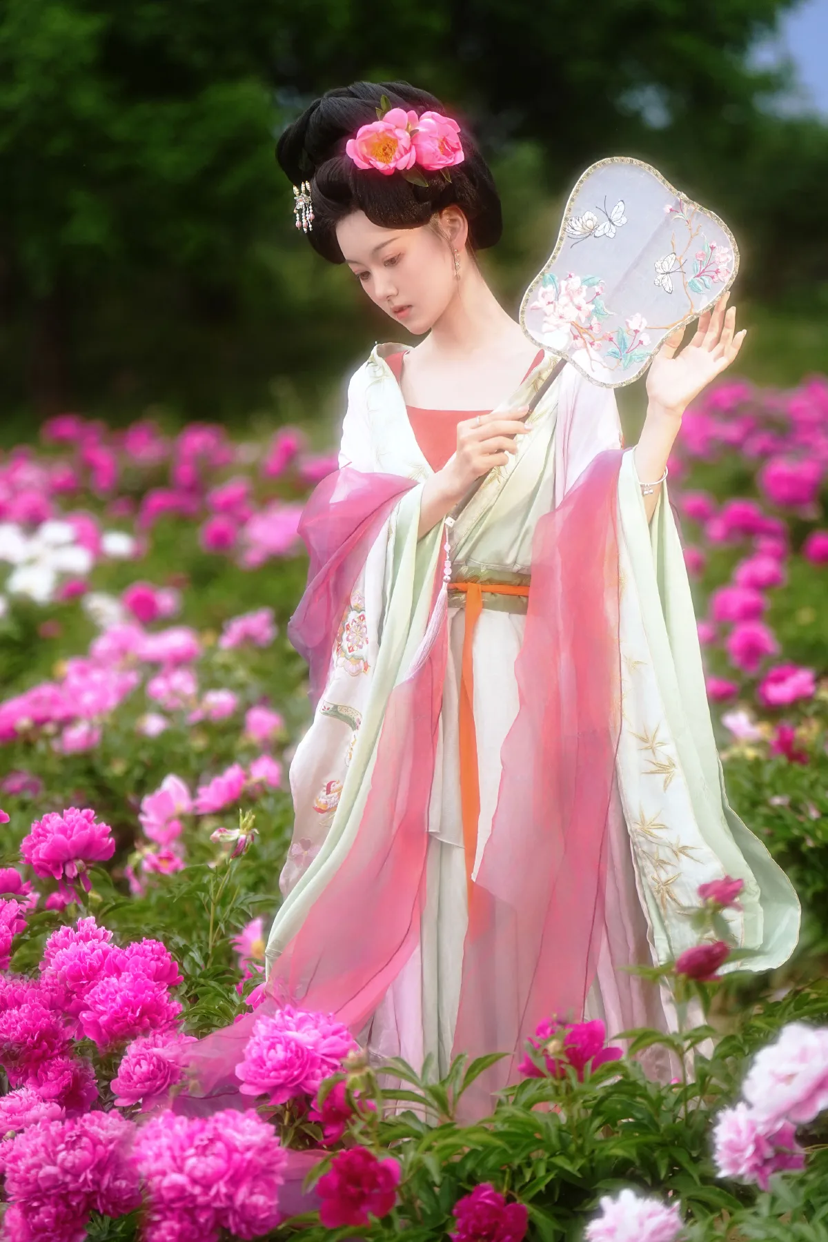 芍药花海