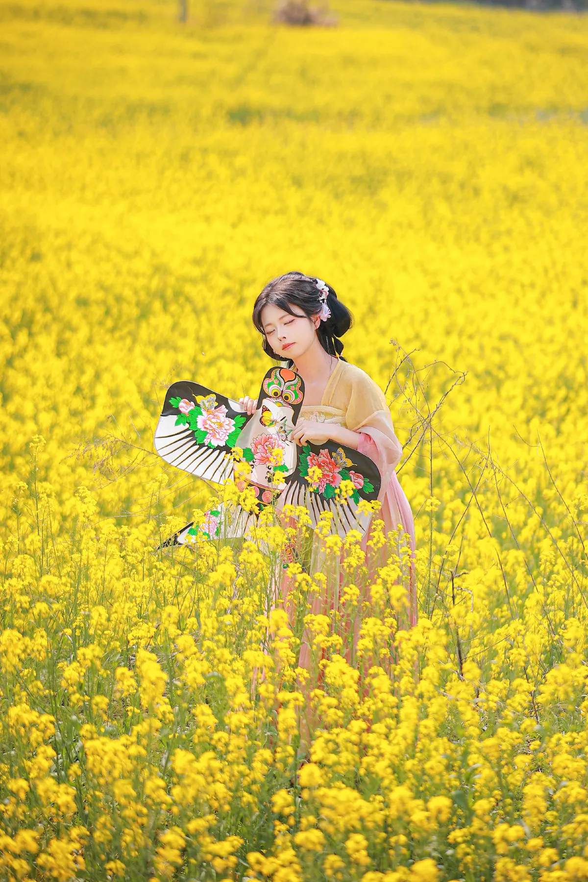 油菜花田2