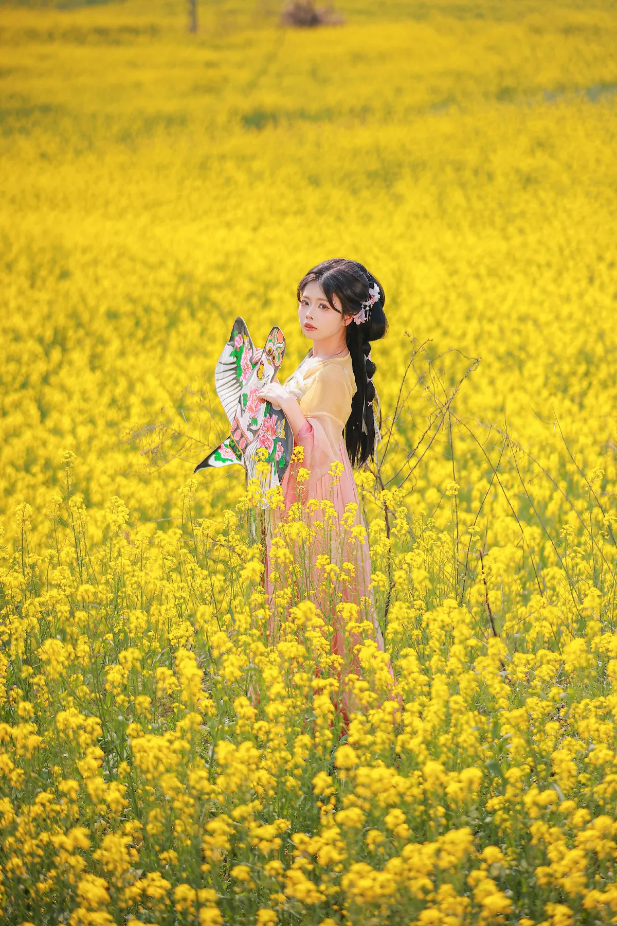 油菜花田3