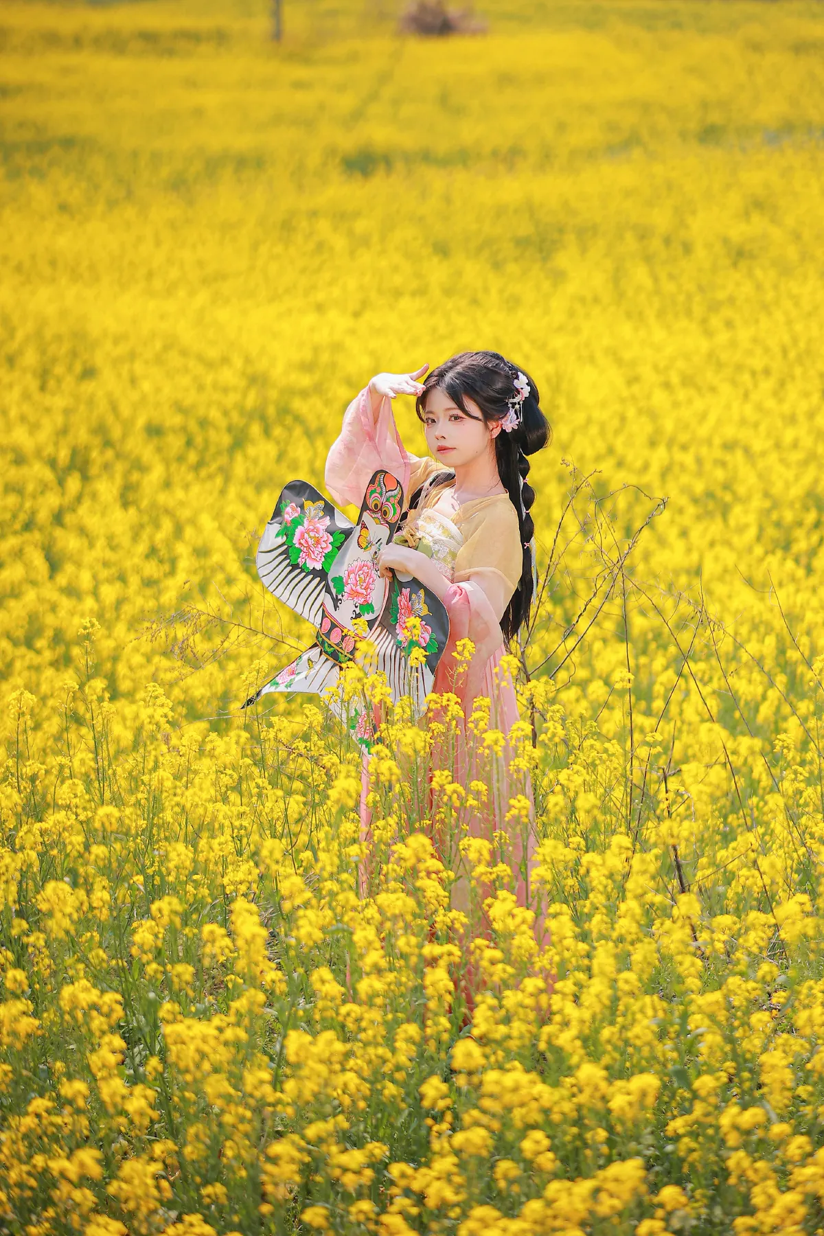 油菜花田4