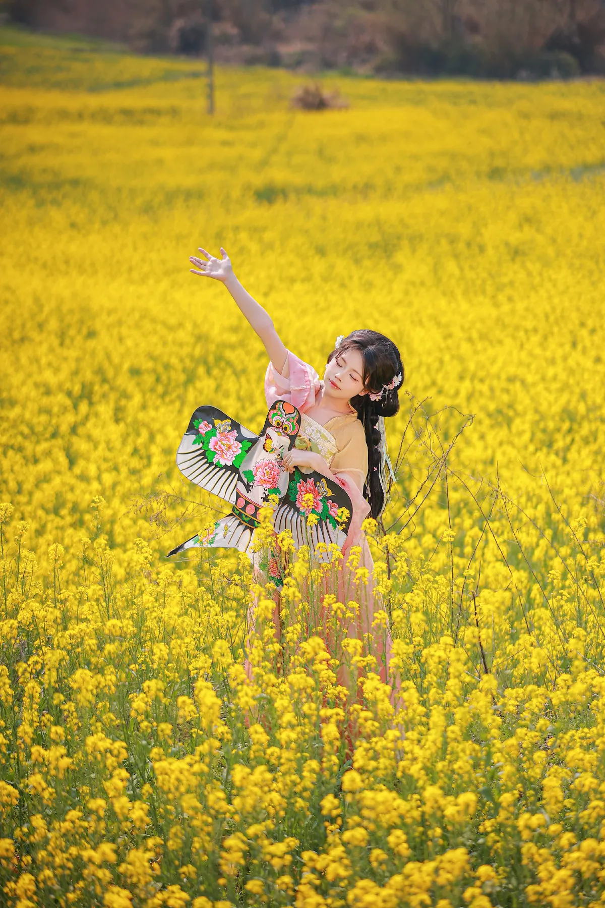 油菜花田5