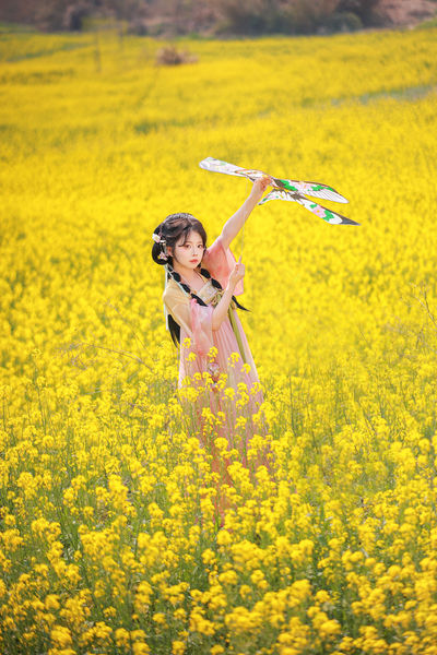 油菜花田