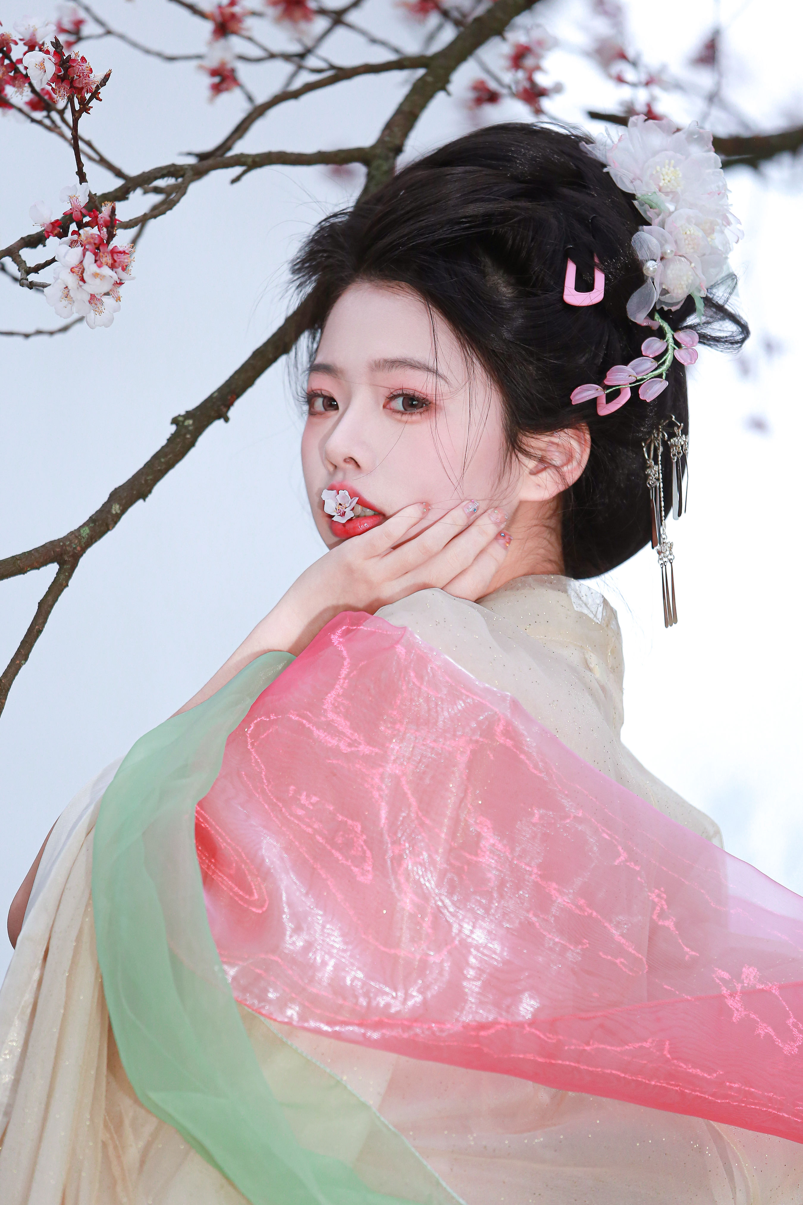 山茶花神