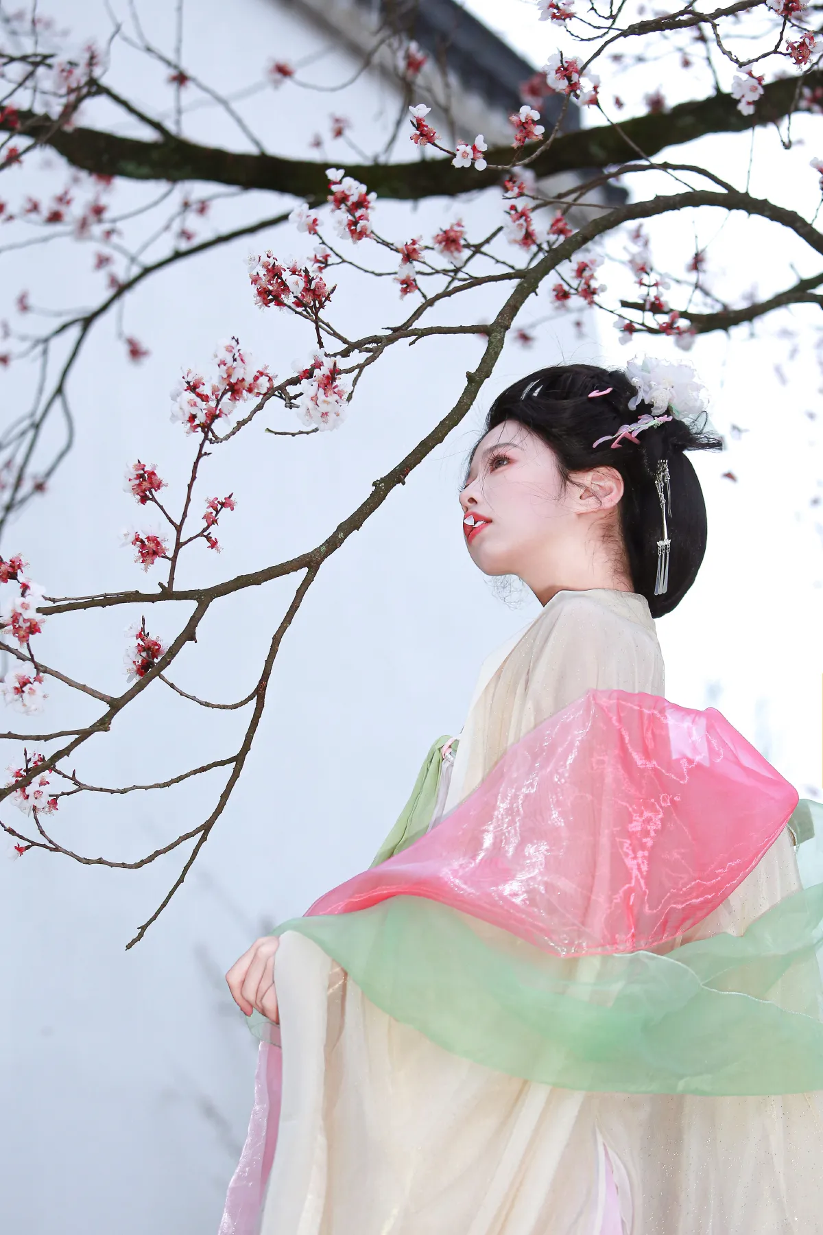 一姐_肥肥《山茶花神》美图作品图片3