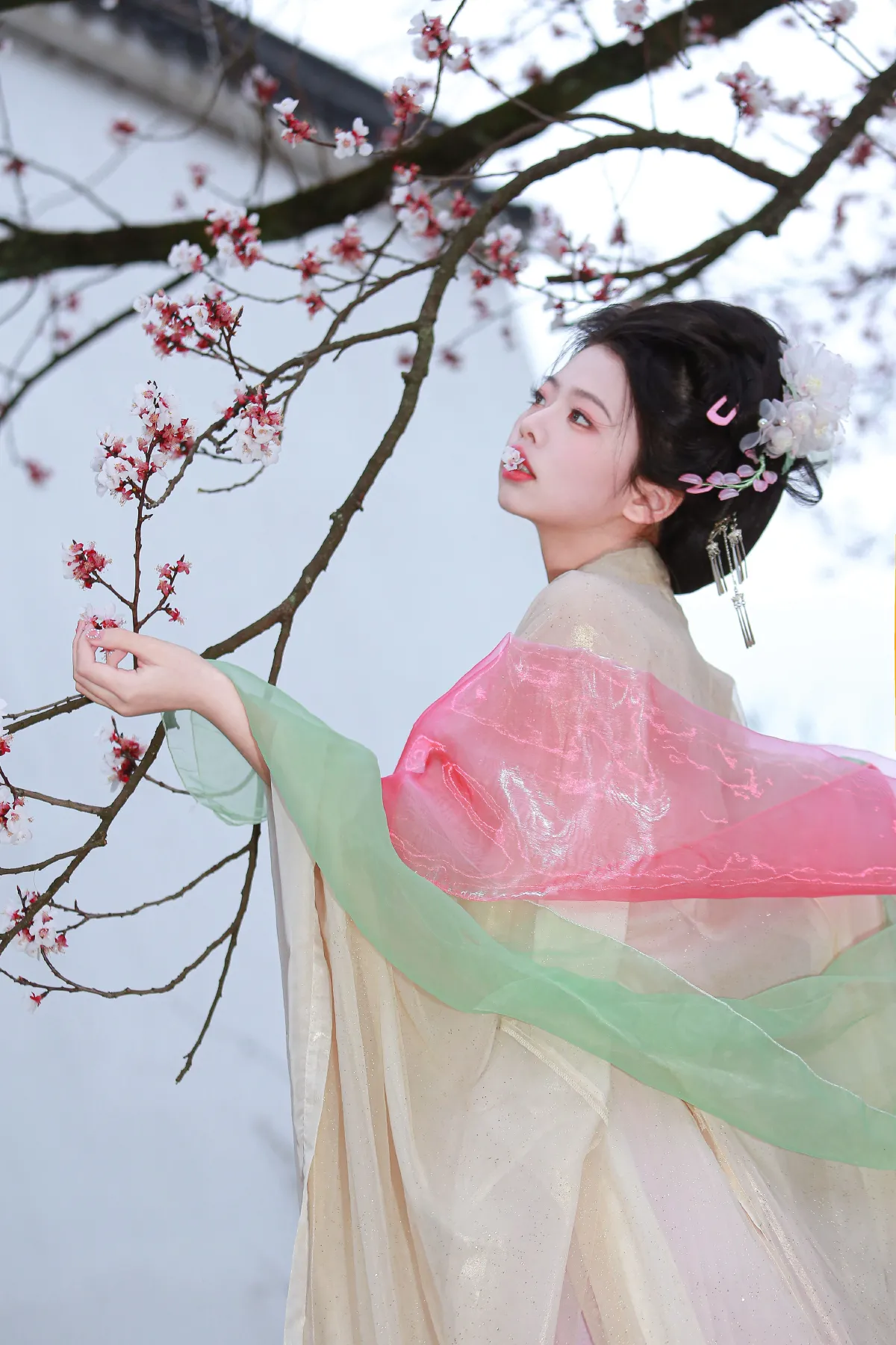 一姐_肥肥《山茶花神》美图作品图片4