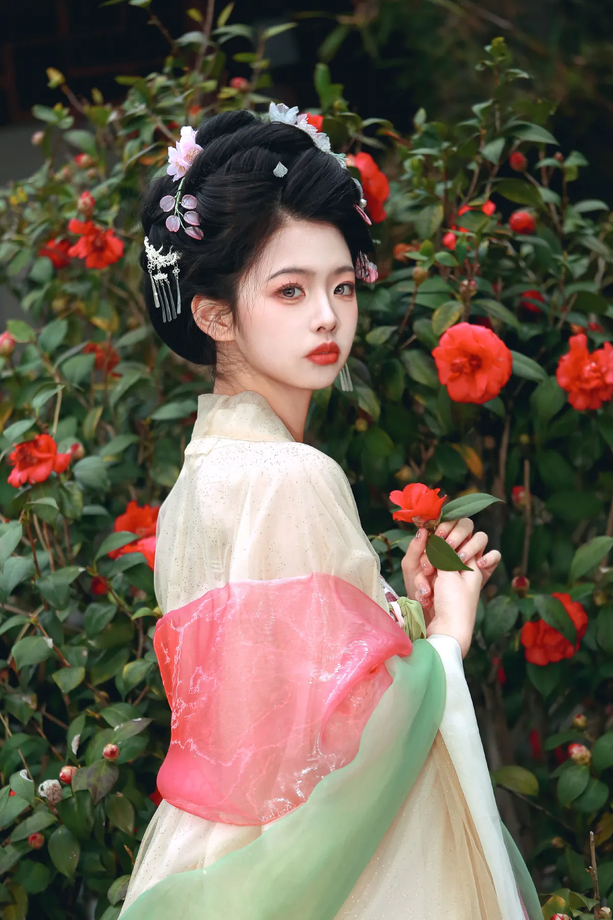 山茶花神