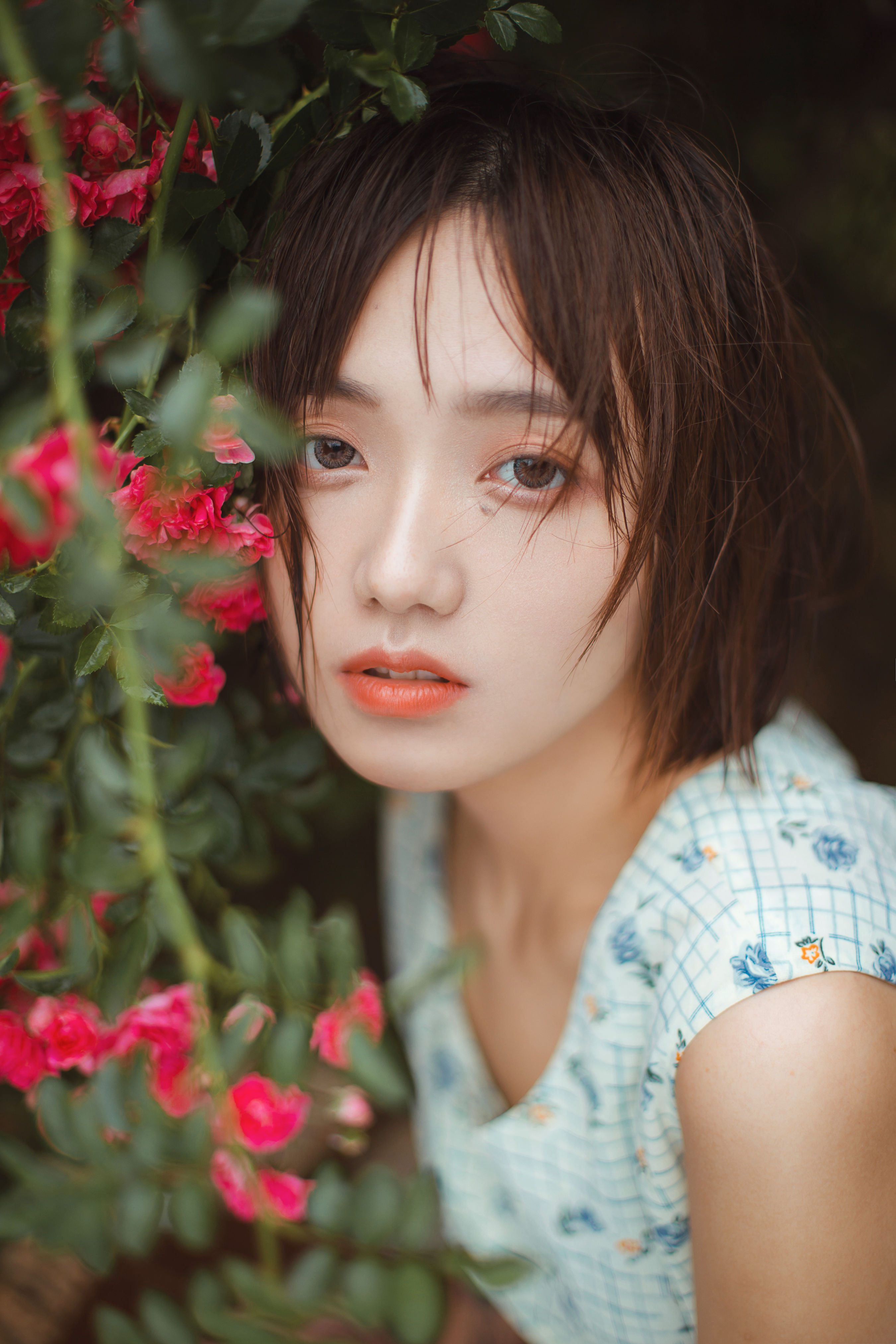 弓长歌_echo《青雉》美图作品图片1