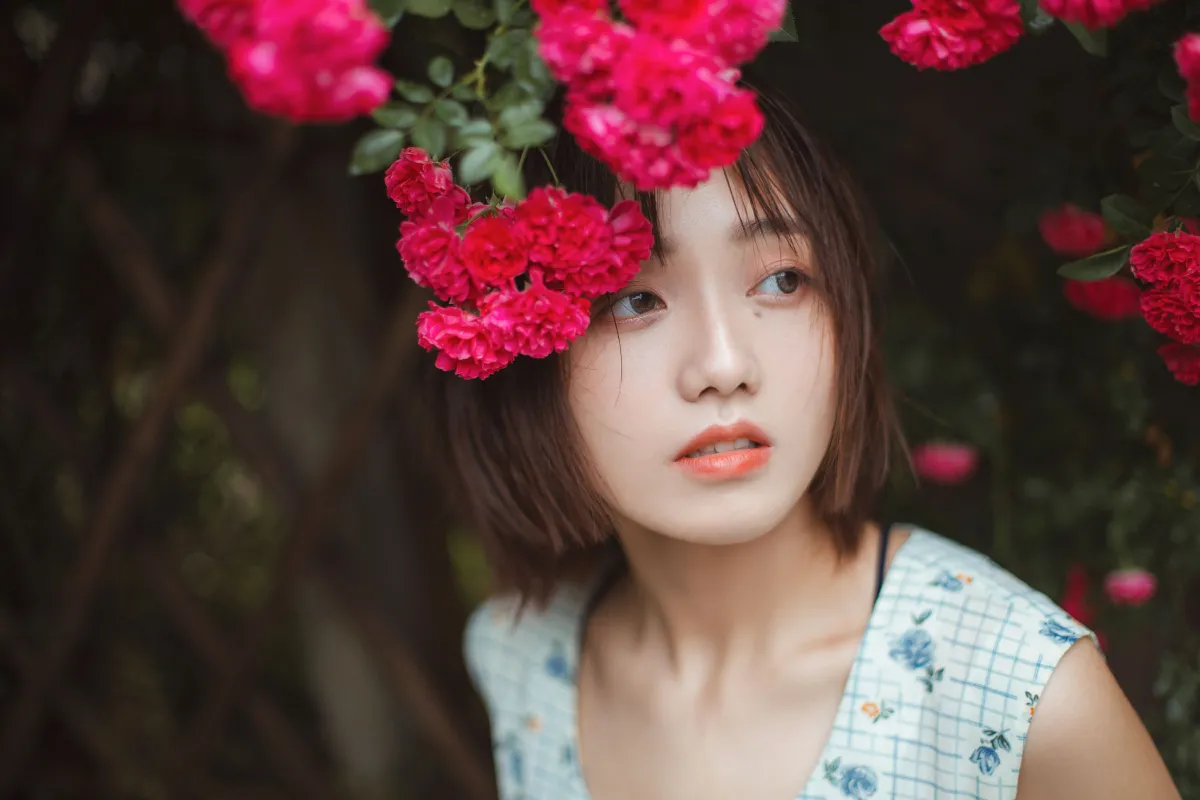青雉