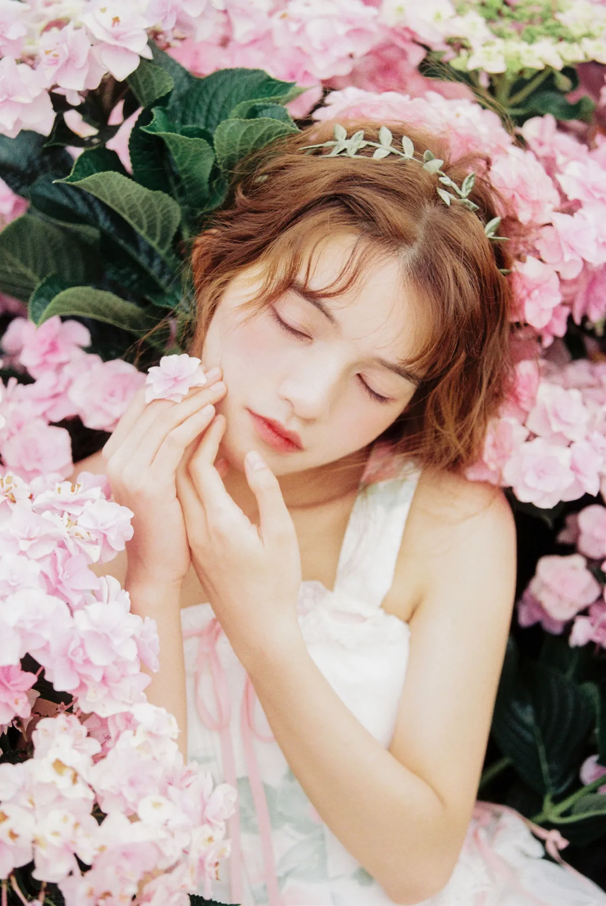 芭蕾花园